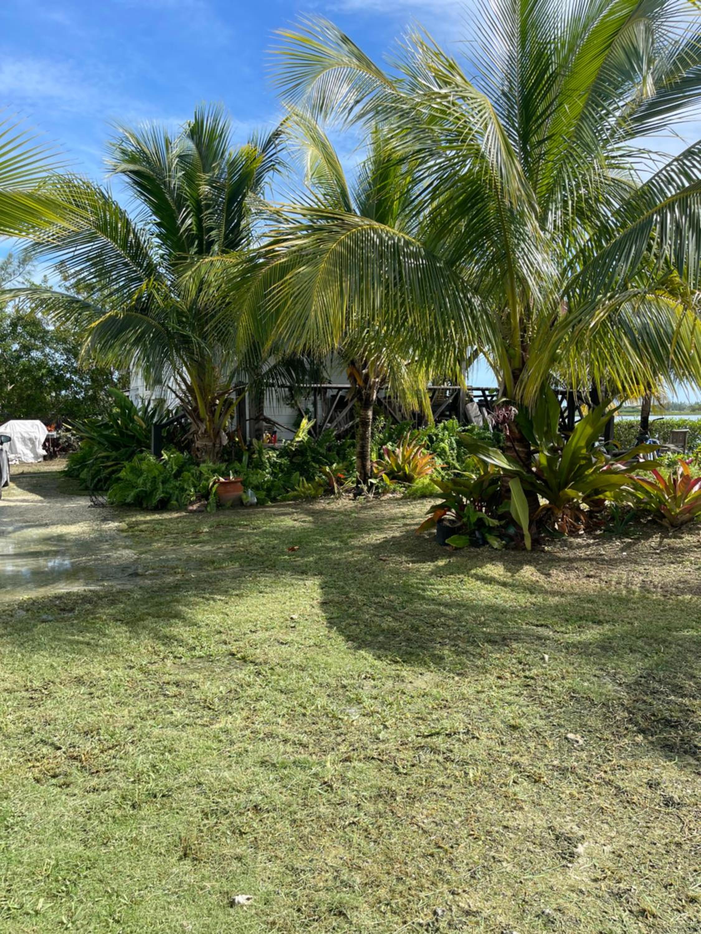 Hidden Paradise - Cottage
