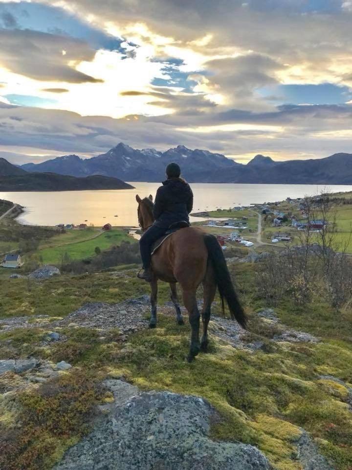 Storjord Farmstay Ranchhouse