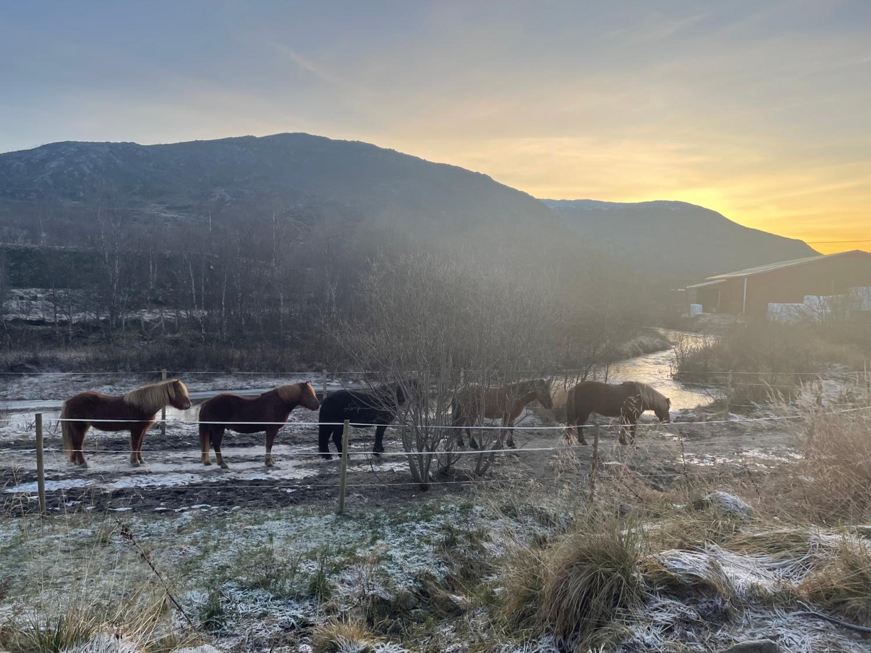 Storjord Farmstay Ranchhouse
