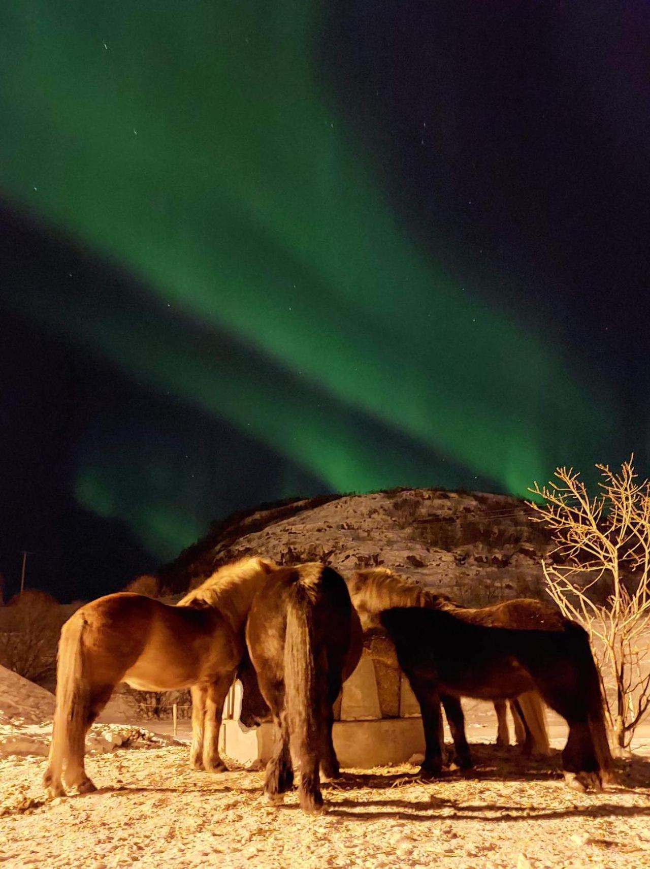 Storjord Farmstay Ranchhouse