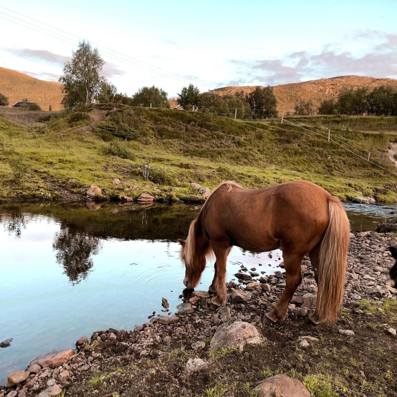 Storjord Farmstay Ranchhouse