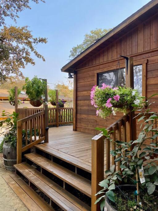 B-B Ranch Cottage~Heart of Gold Country~*HOT TUB* view 5