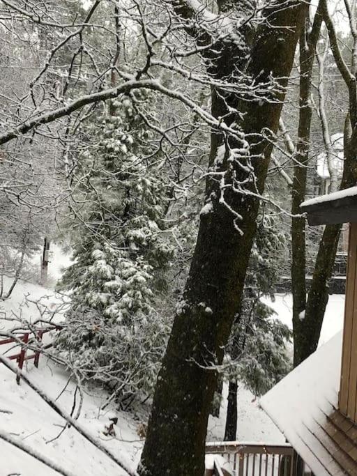 Fantastic Family Cabin - Crest Park Area-Lake Arrowhead view 4