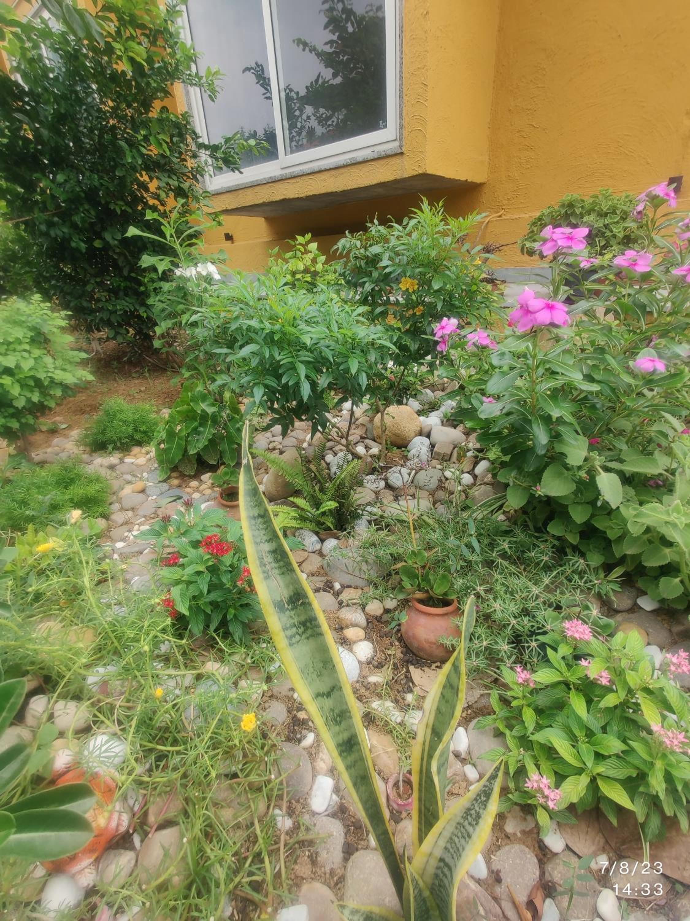 Photo 16