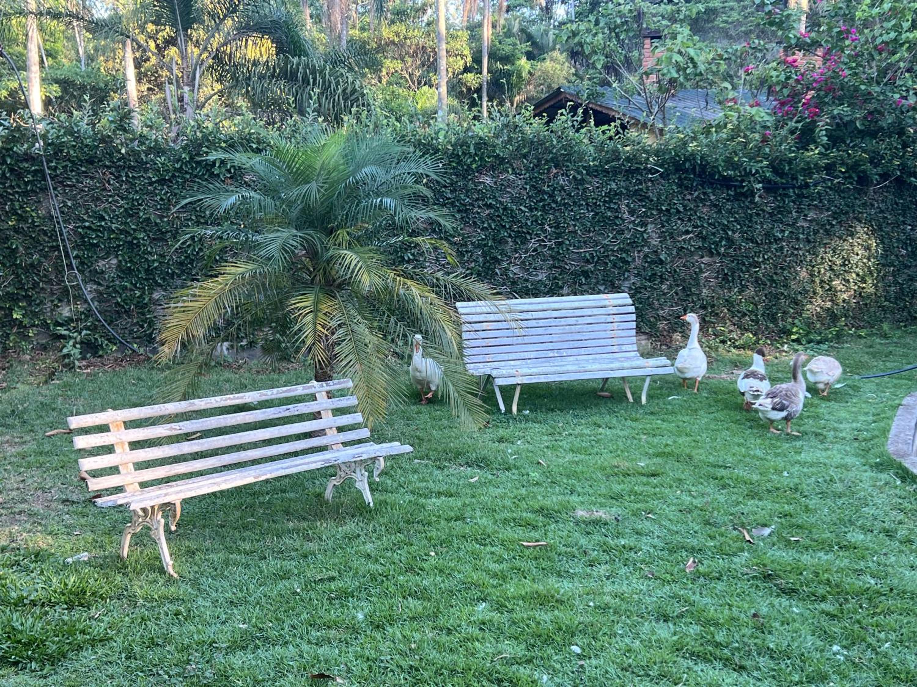 Chácara Recanto do Guerreiro em Aruja