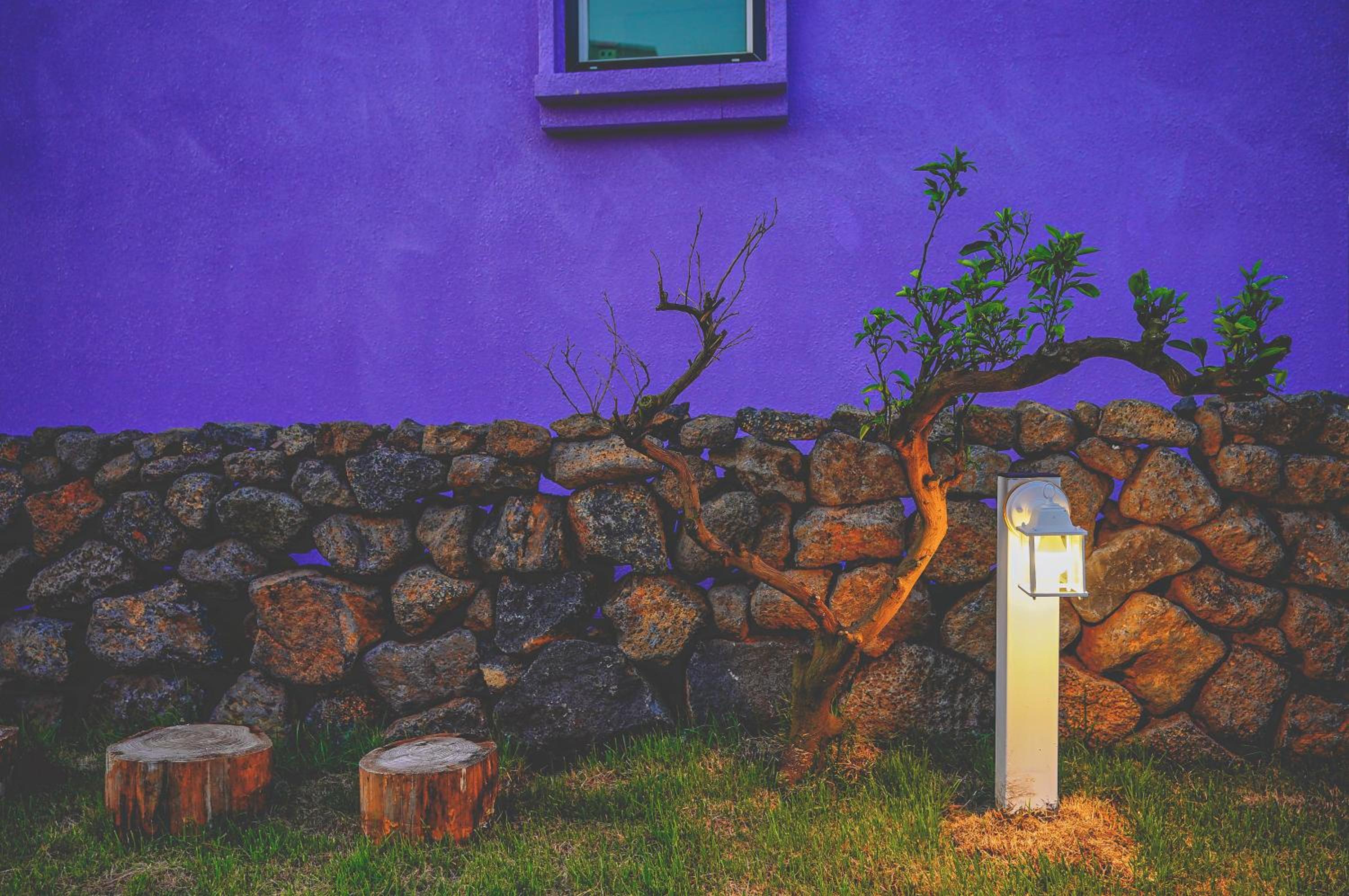 Jeju Love Stay Mint