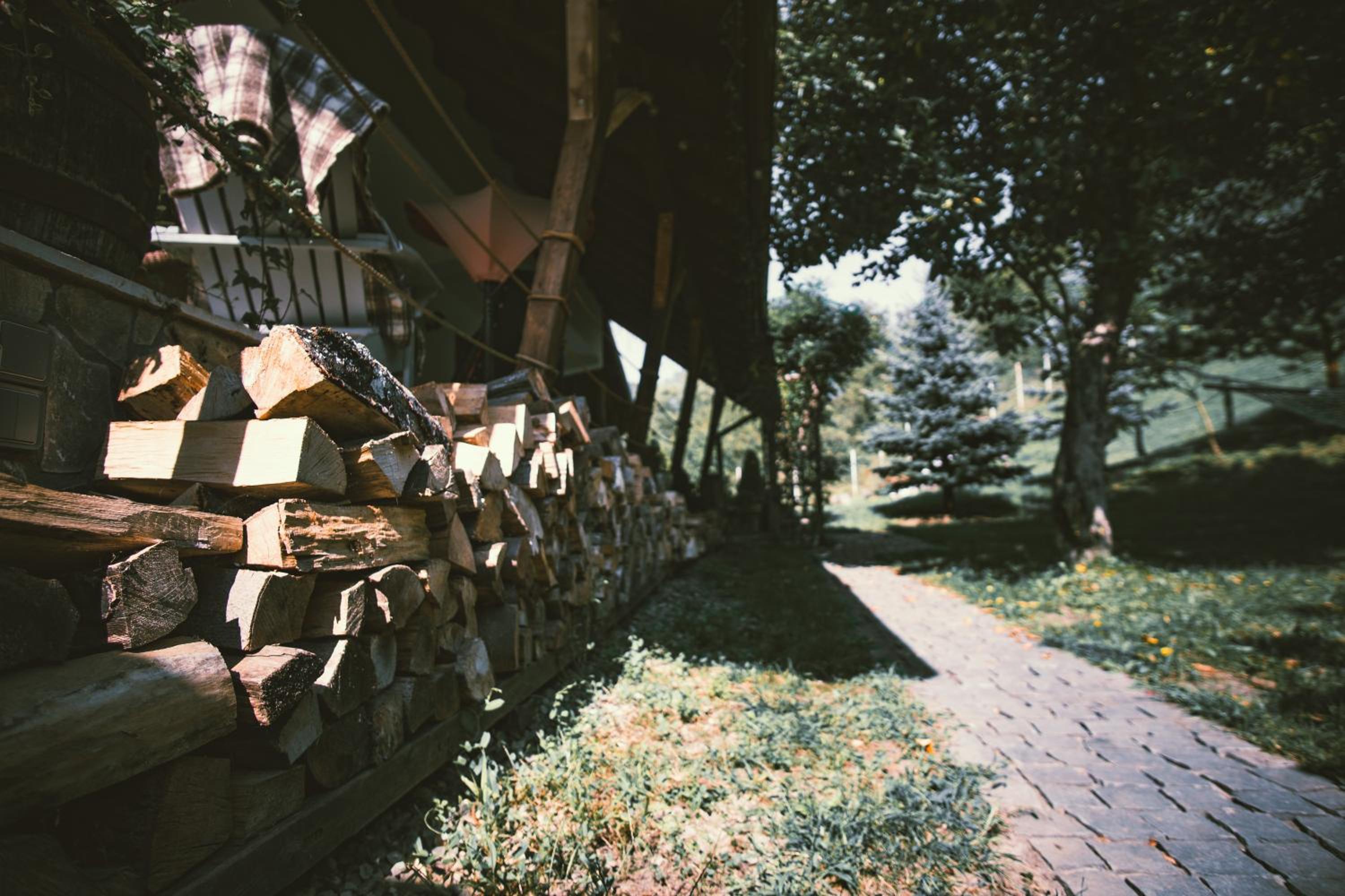 Photo 45