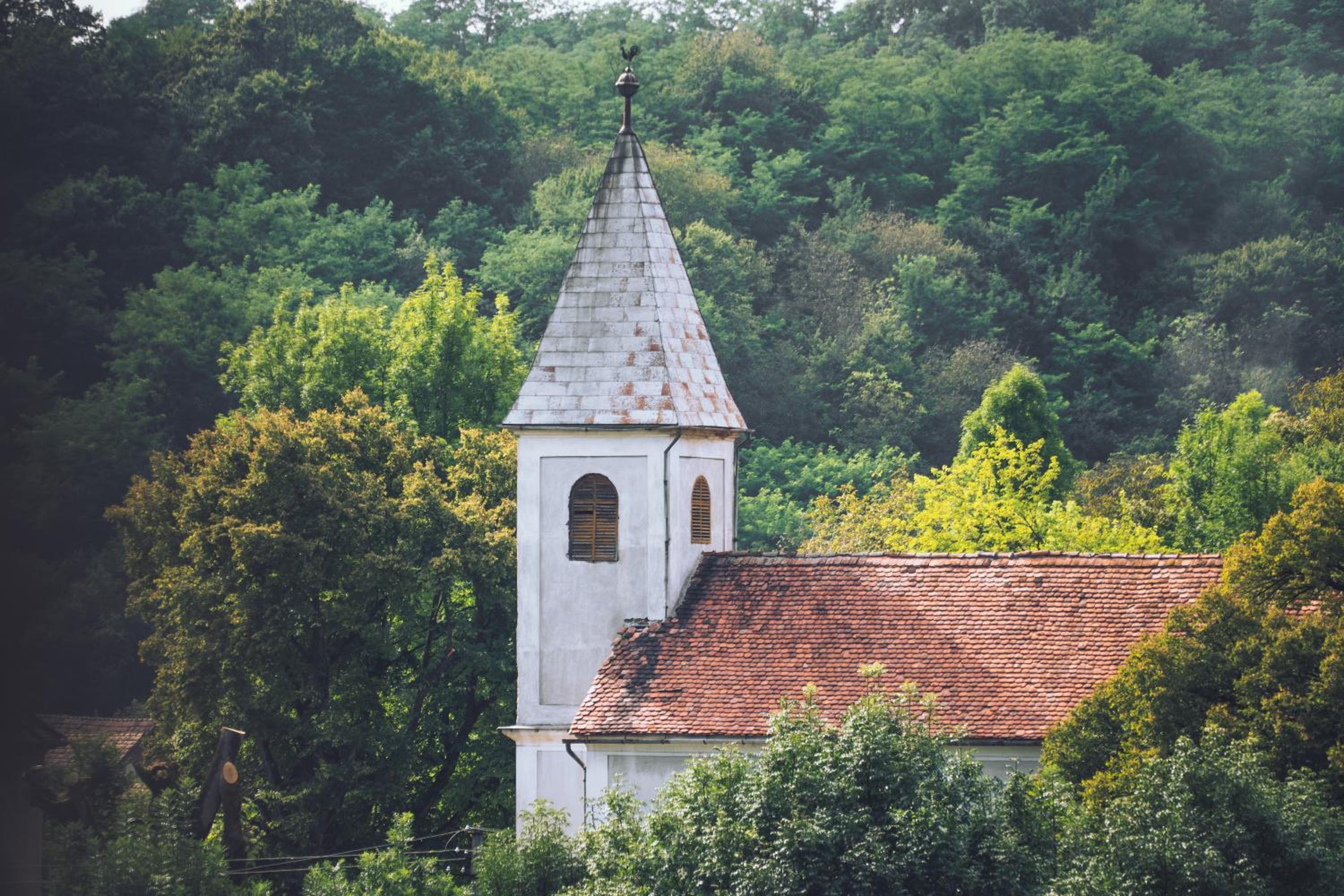 Photo 49