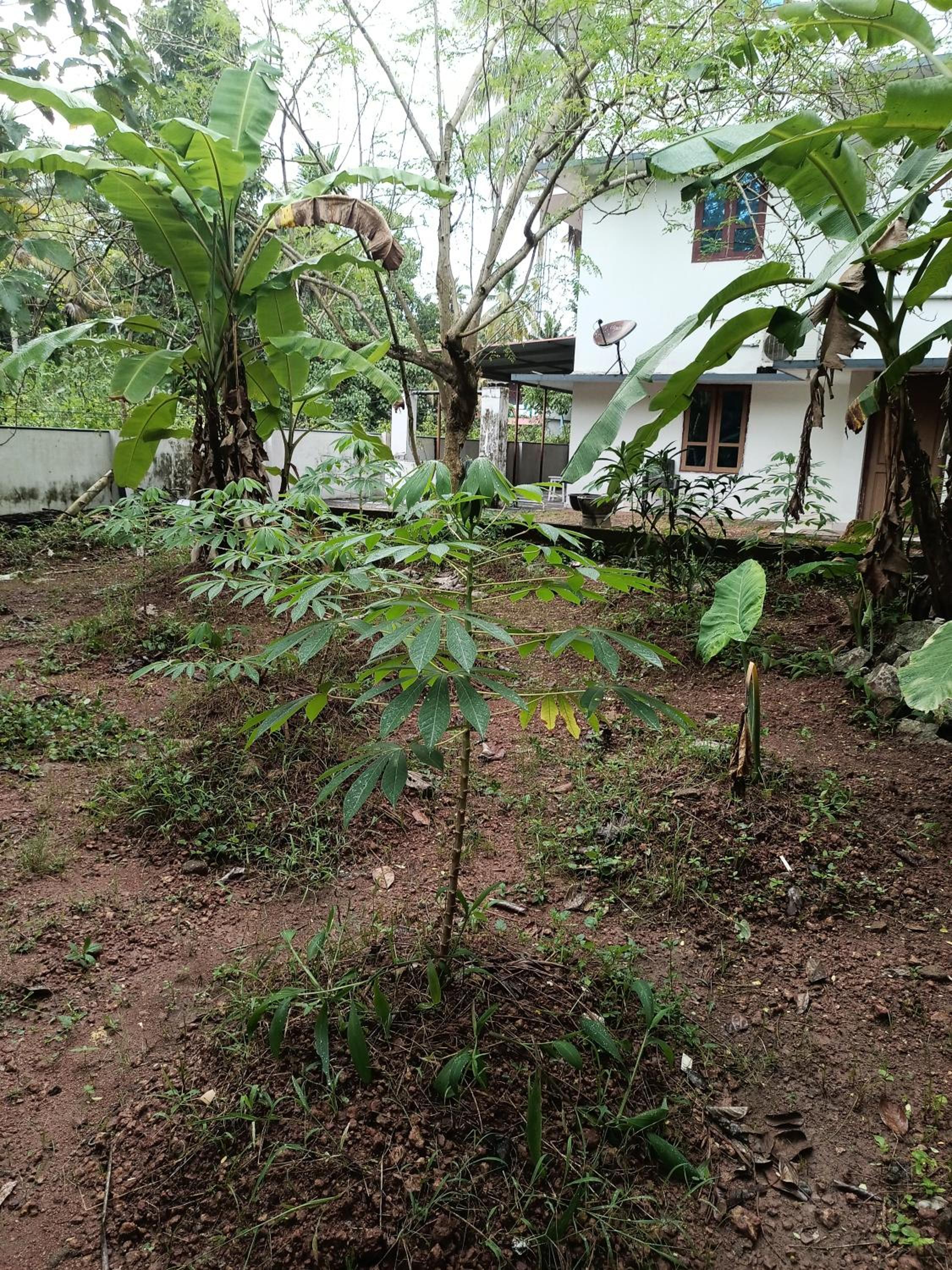 Varkala AC 3Bhk hammocks courtyard patio view 5