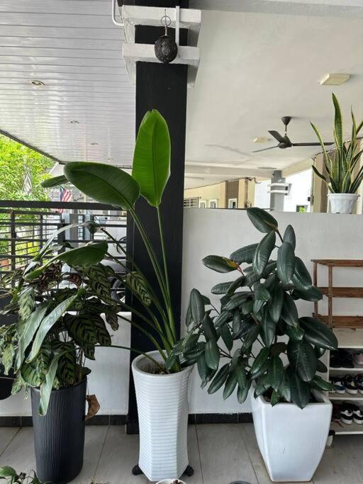 Pa & Ma Kulim Homestay Bandar Putra 4 Bedroom Family Stay view 3