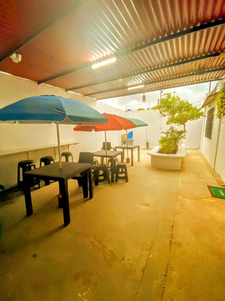 Oasis de Tolú