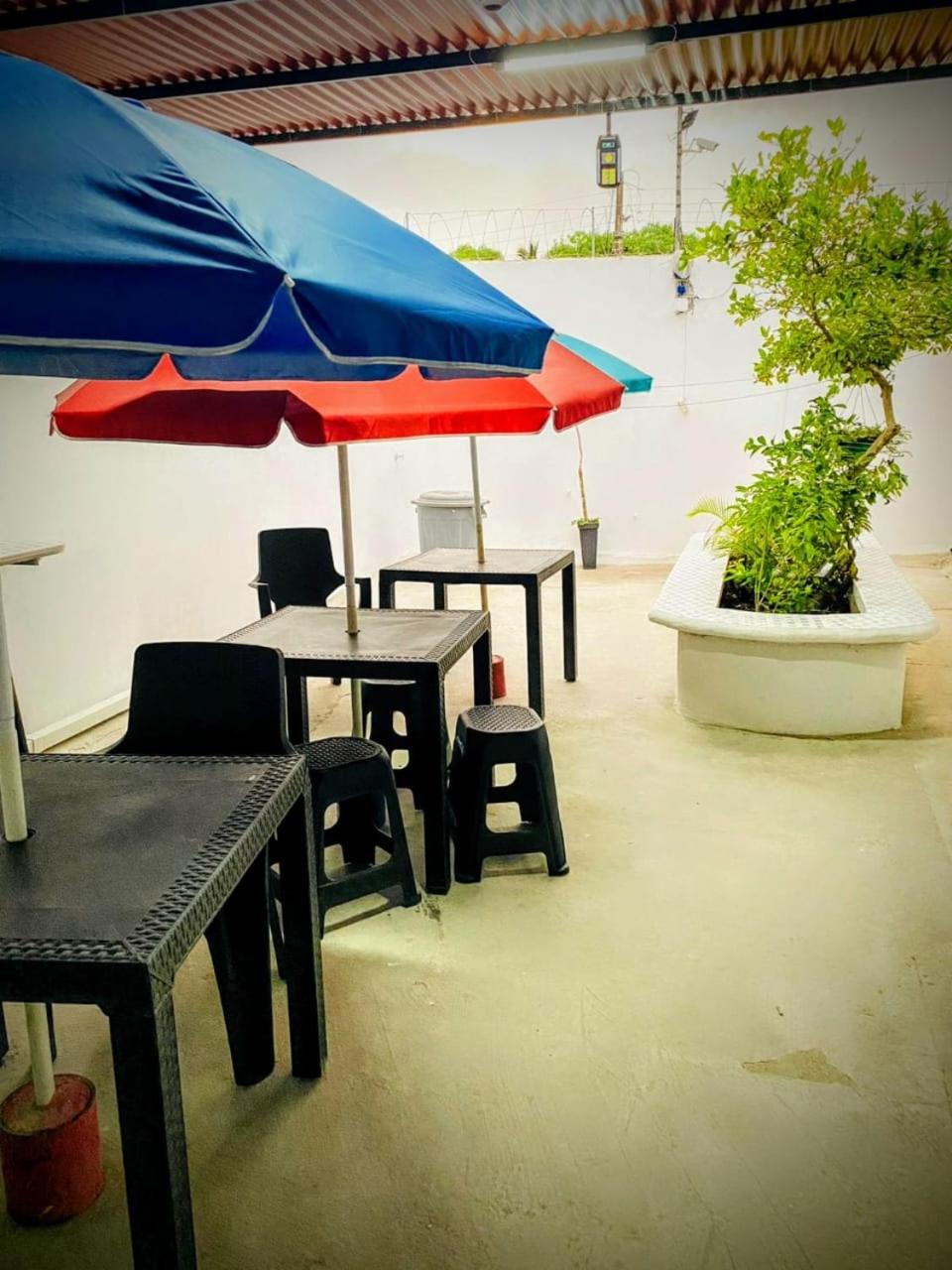 Oasis de Tolú