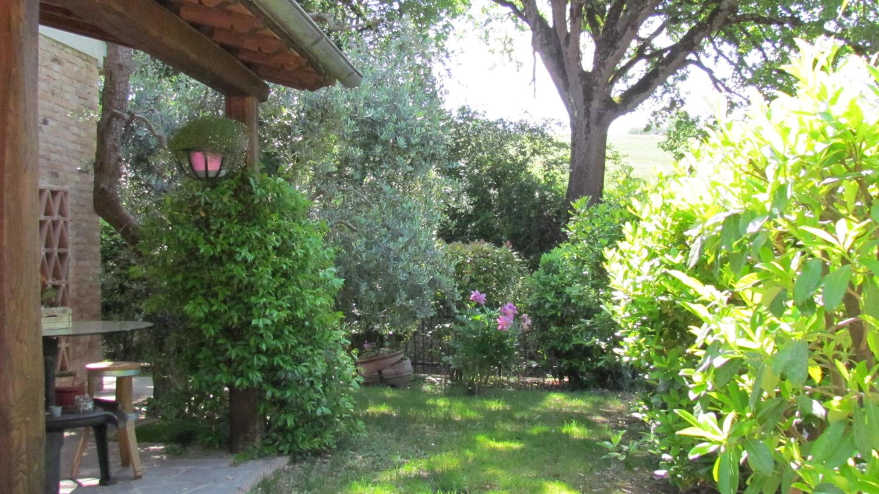 Photo 43