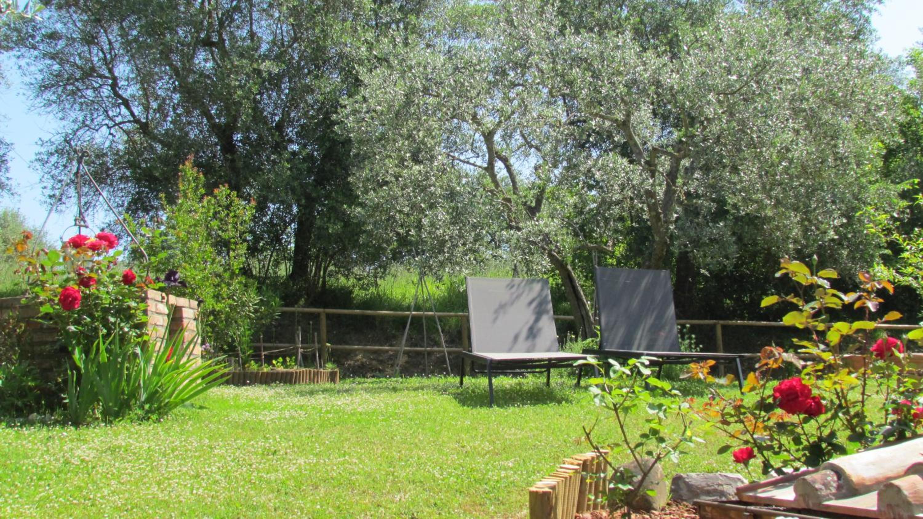 Photo 44