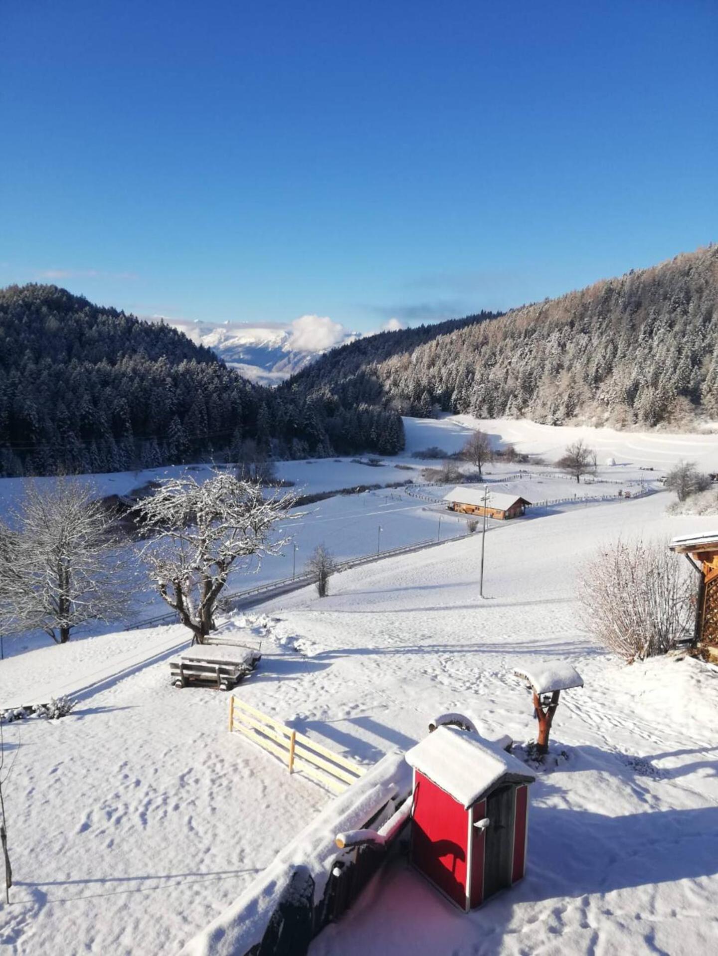 Maso Alpino con vista sulle Dolomiti view 4