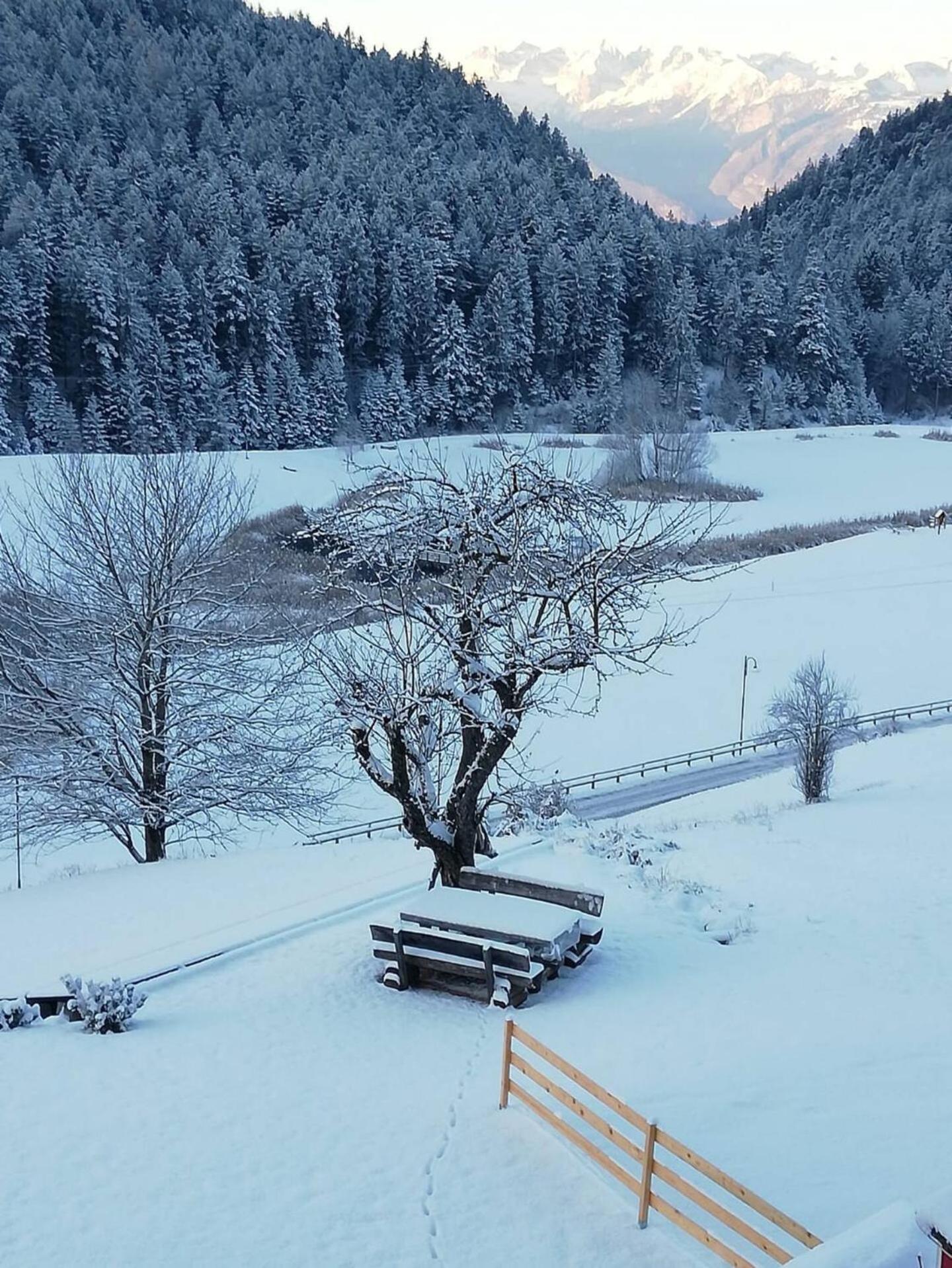 Maso Alpino con vista sulle Dolomiti view 3