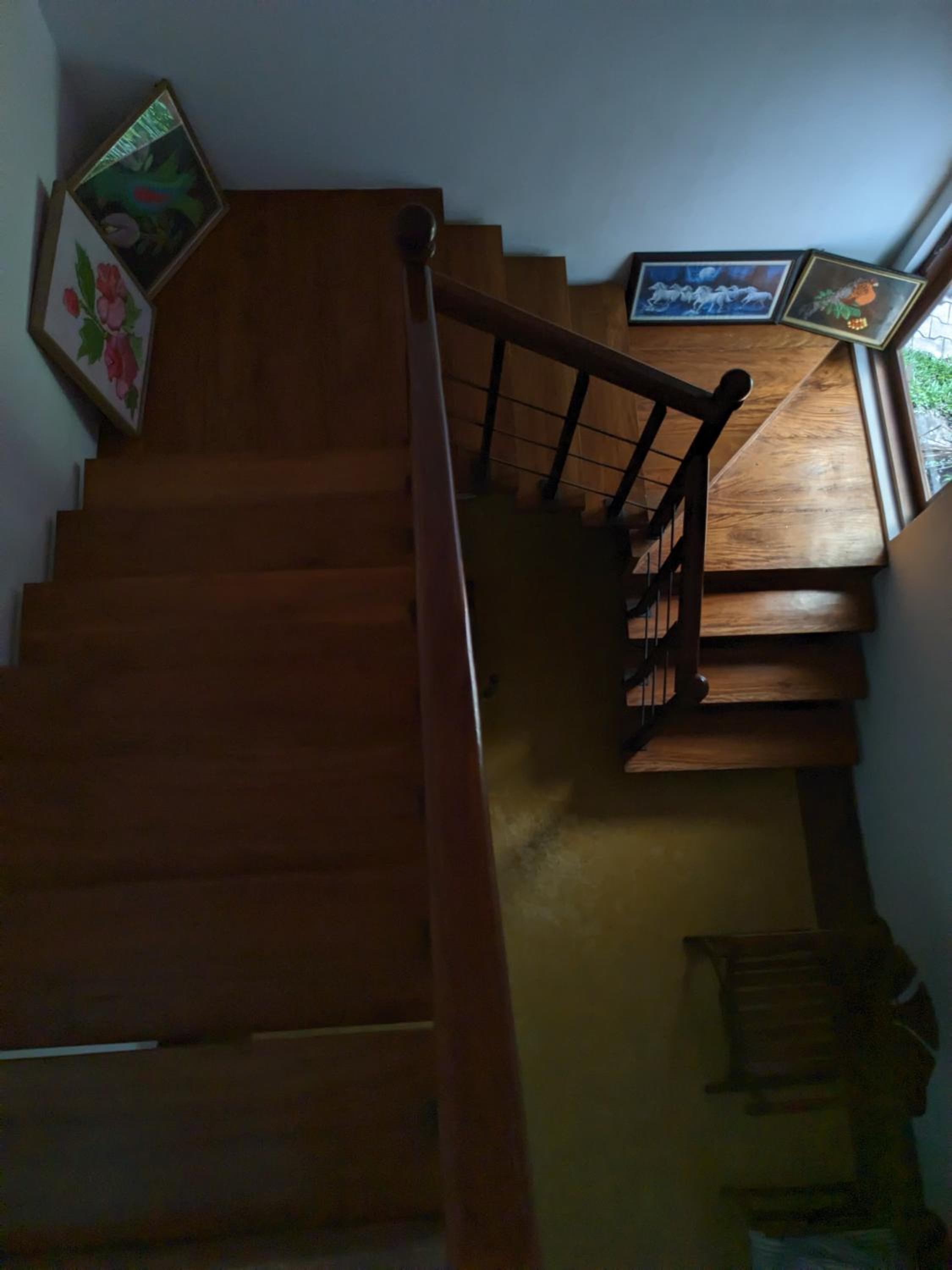 Photo 48