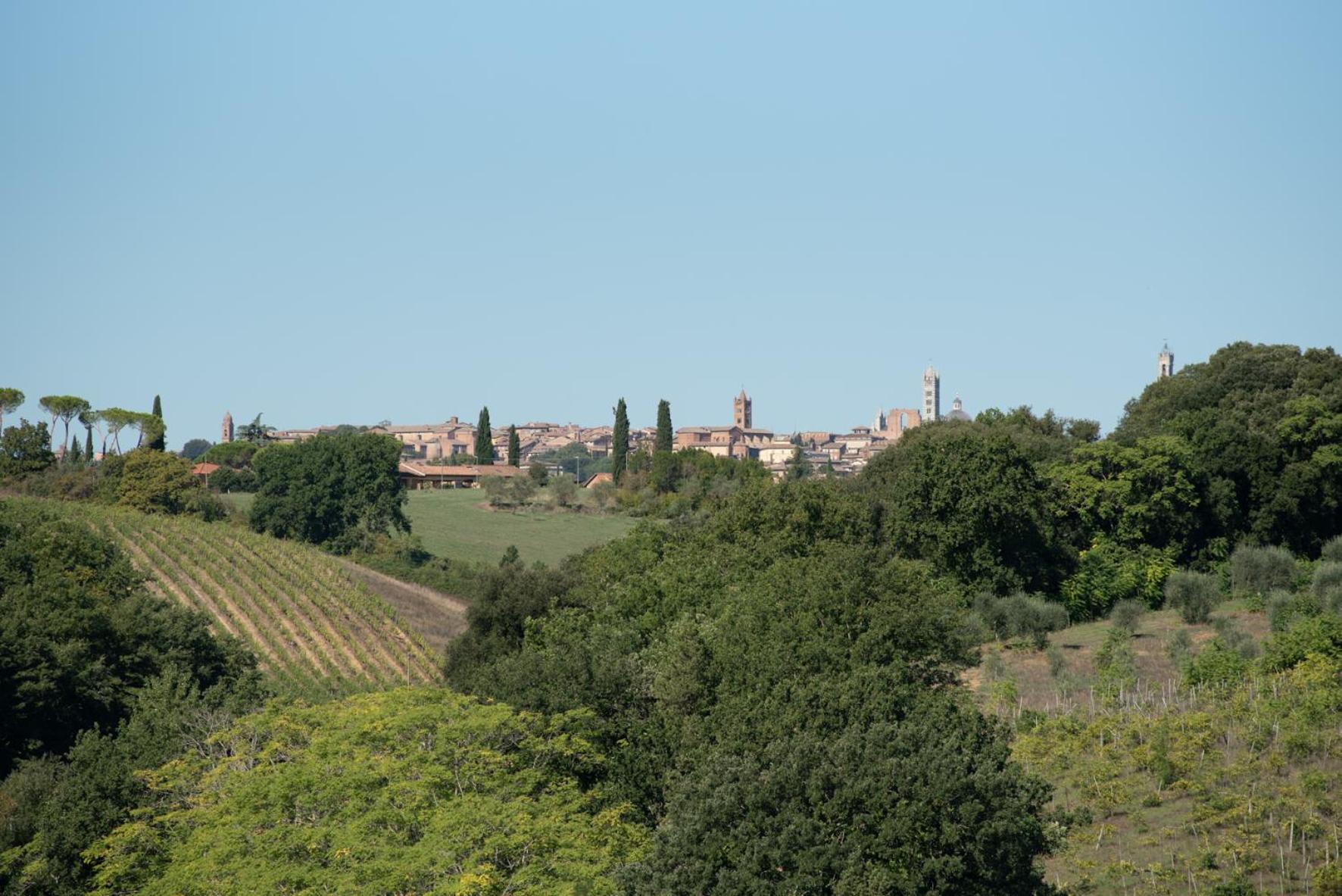 Agriturismo Il Colle