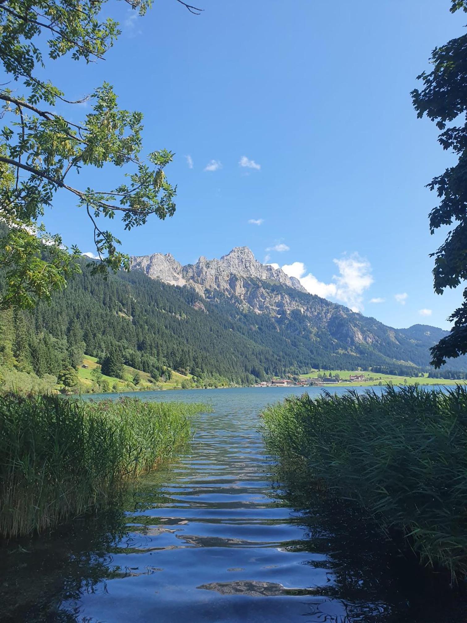 Ferienwohnung Sonnenblume 1322 mit Hallenbad und Sauna