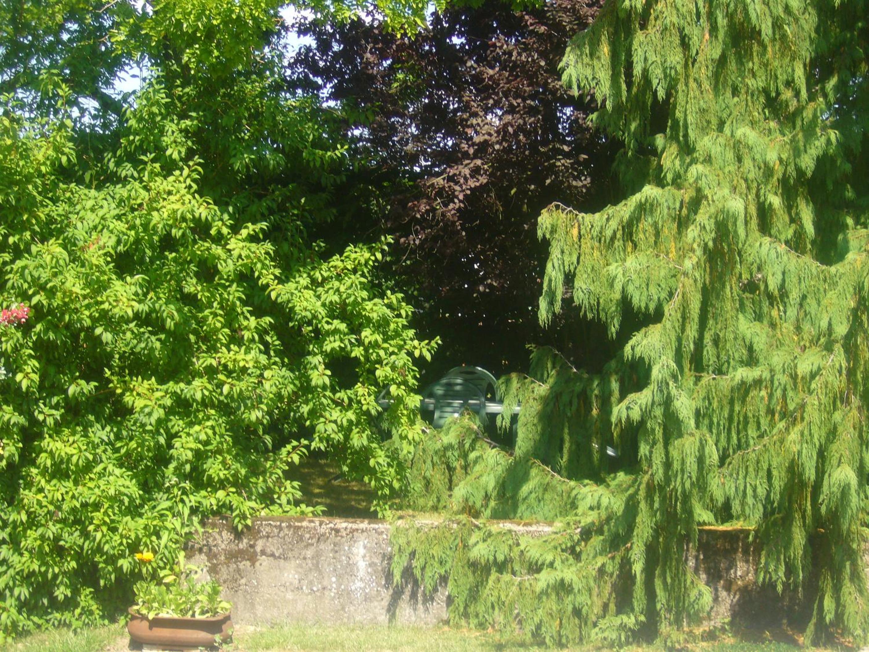 Photo 15