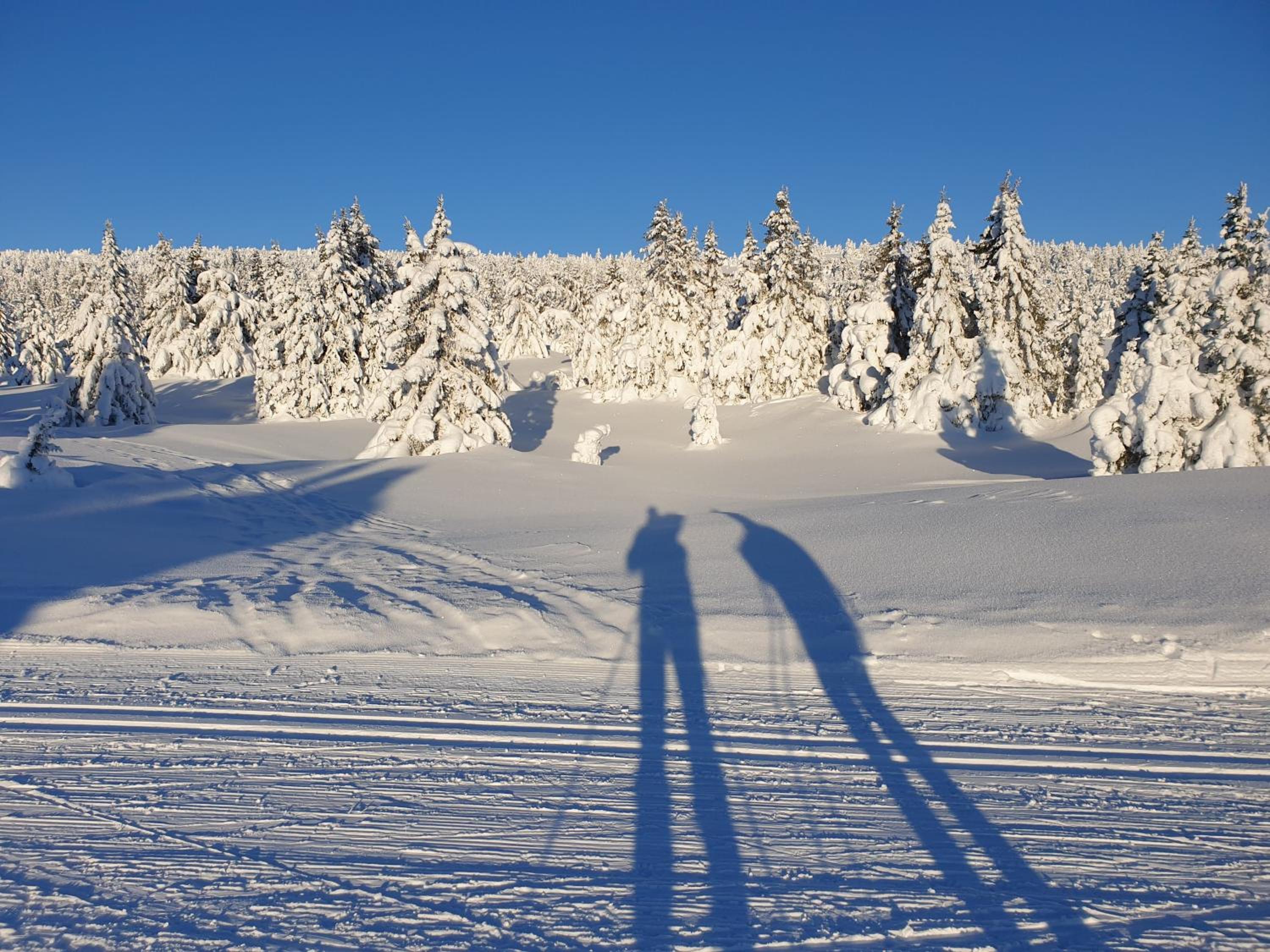 Ro i sjelen. Hytte til leie på Skrim. view 2