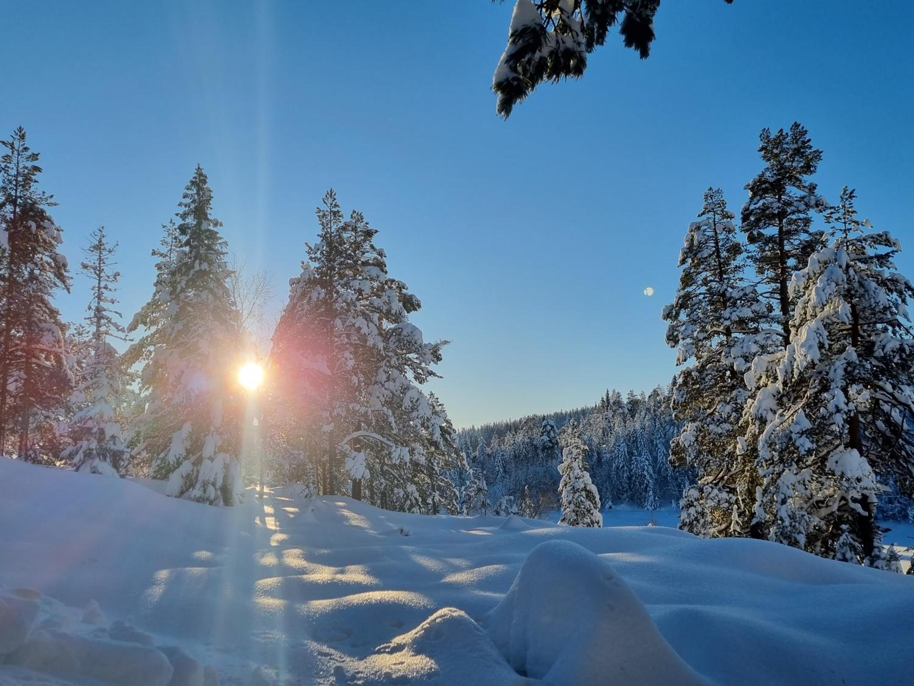 Ro i sjelen. Hytte til leie på Skrim. view 3