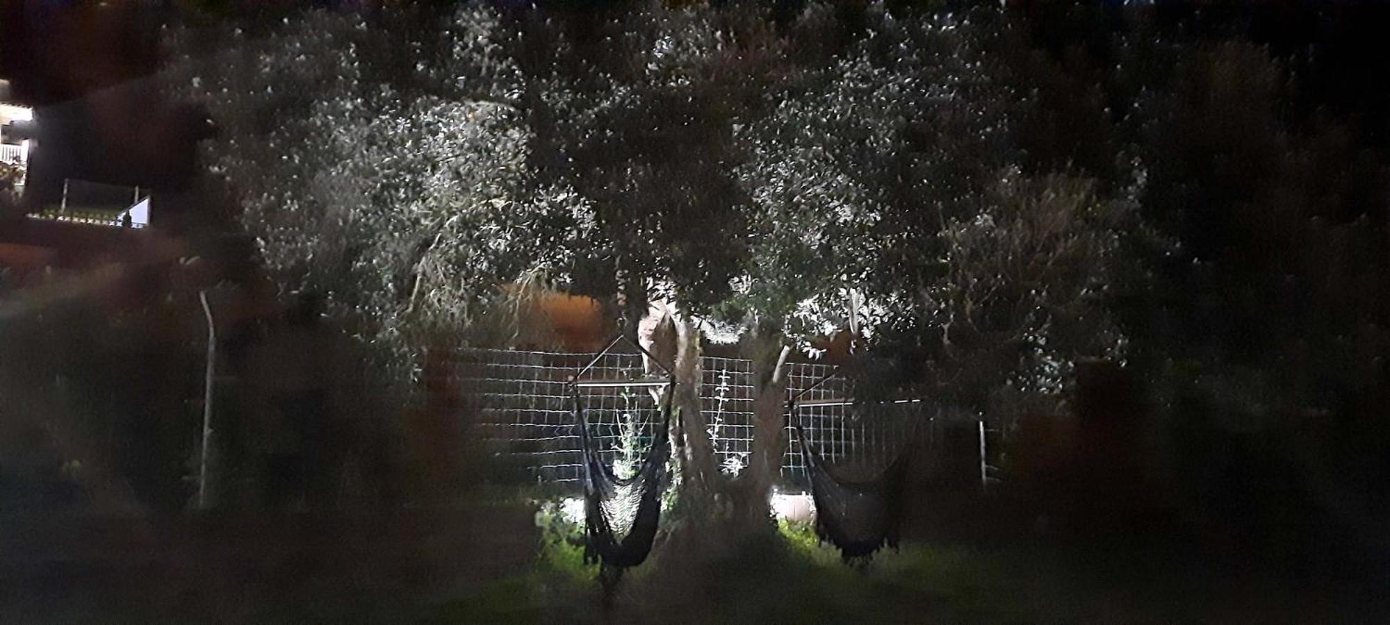 Photo 35