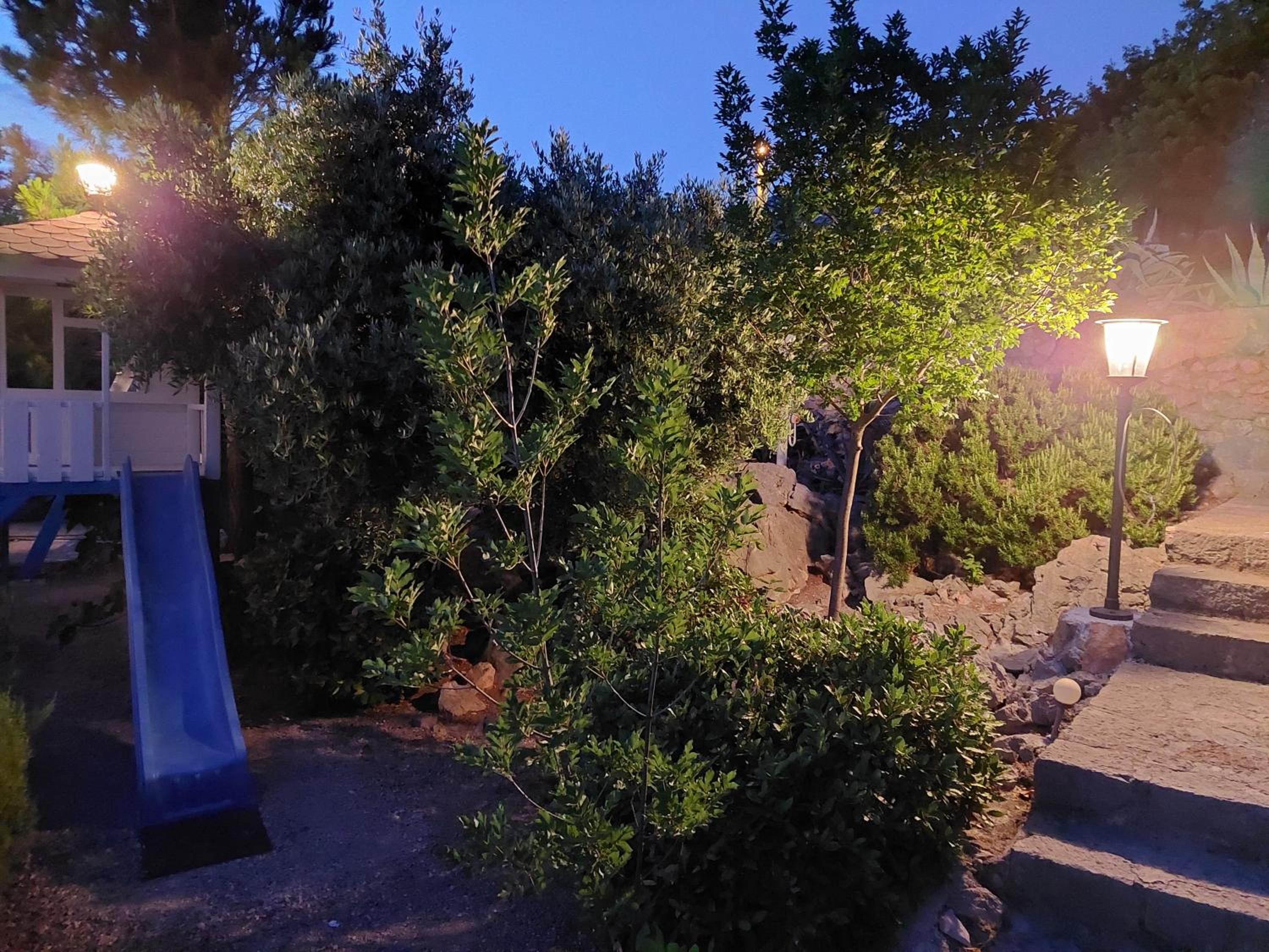 Photo 41