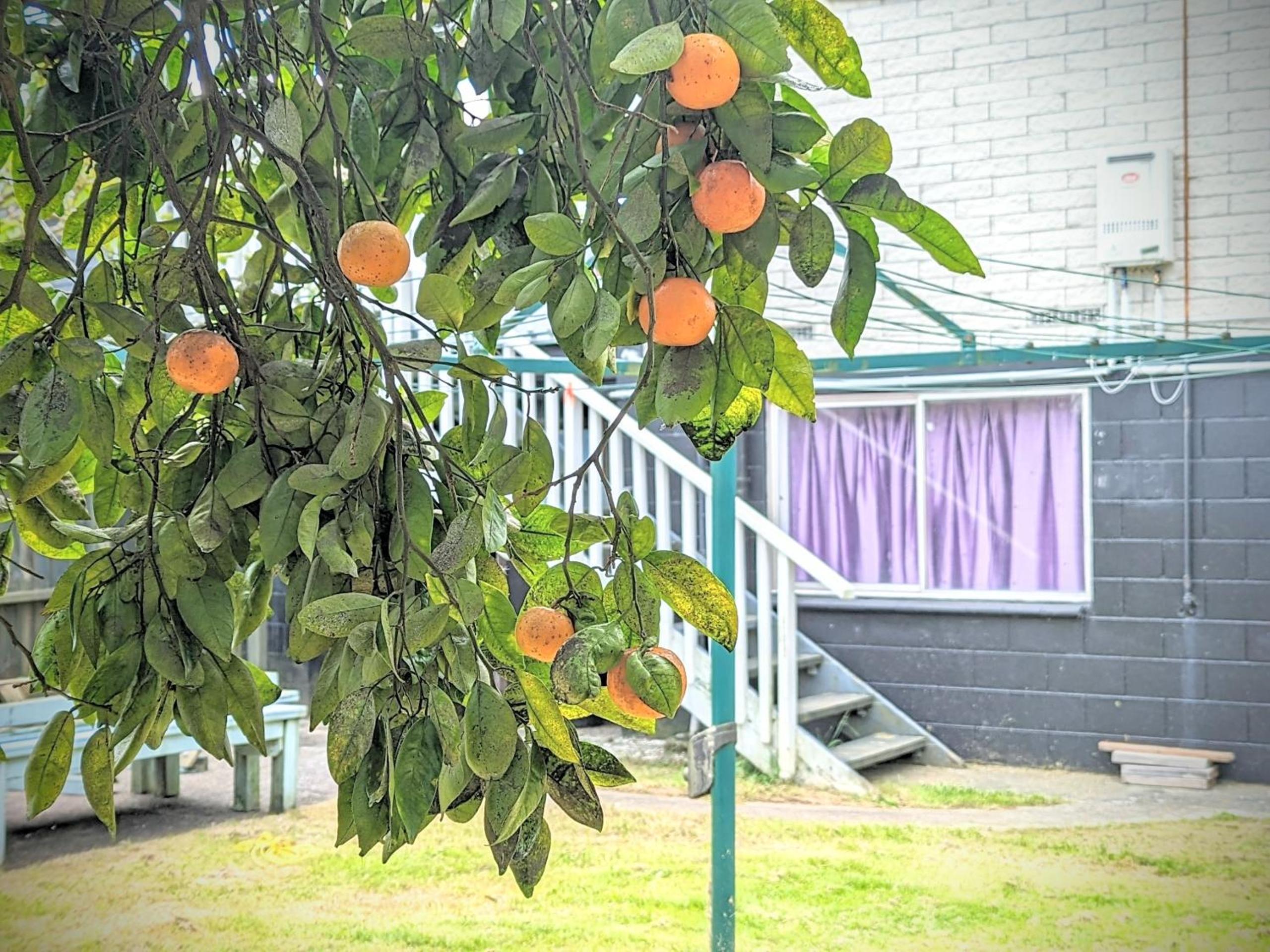 4 Bedrooms Escape, close to CBD view 3