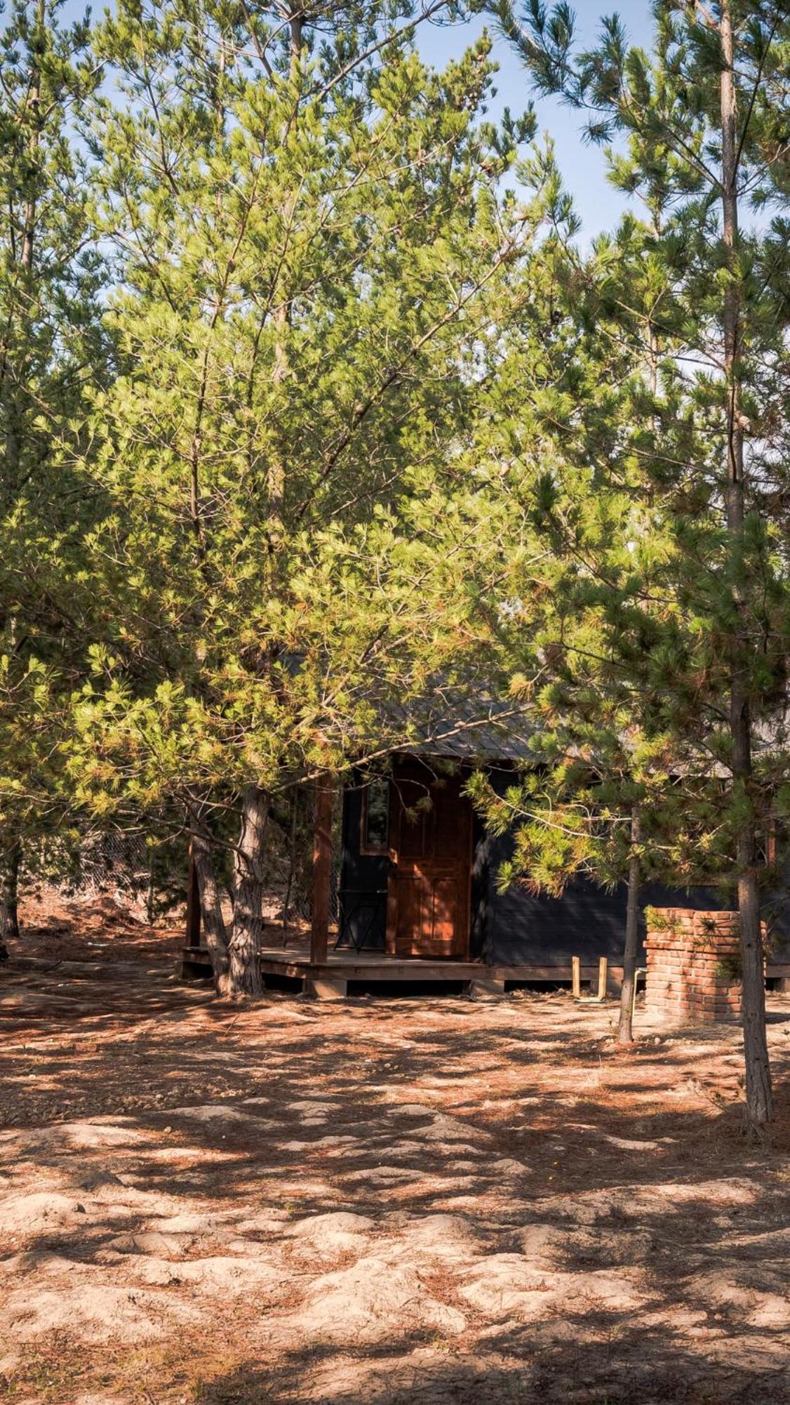 Riveras Rentals Bosque , cabañas & cabinas