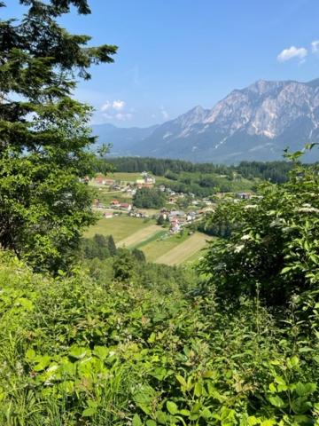 Haus Seltschach