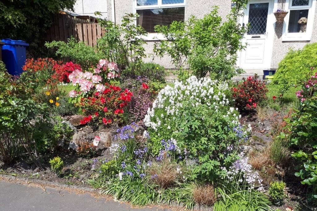 Spacious 2 bedroom house on the edge of Balloch view 3