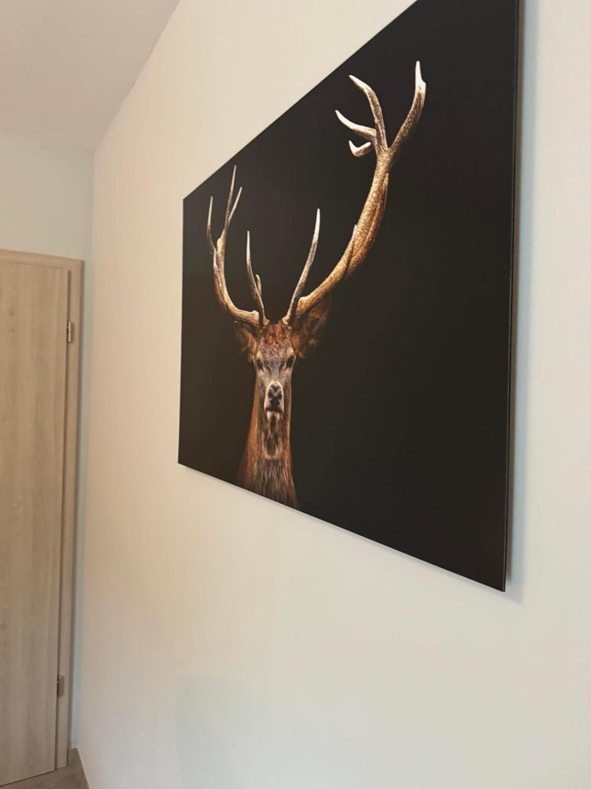 Cervus