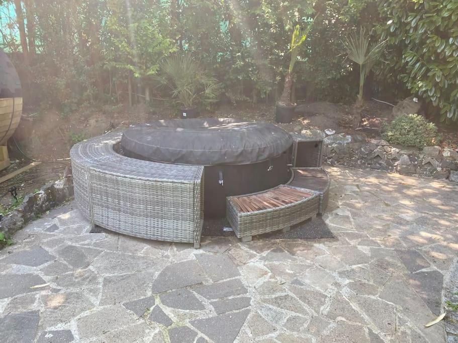 Ferien-Villa direkt am Rhein Sauna/Whirlpool