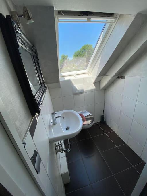Ferien-Villa direkt am Rhein Sauna/Whirlpool