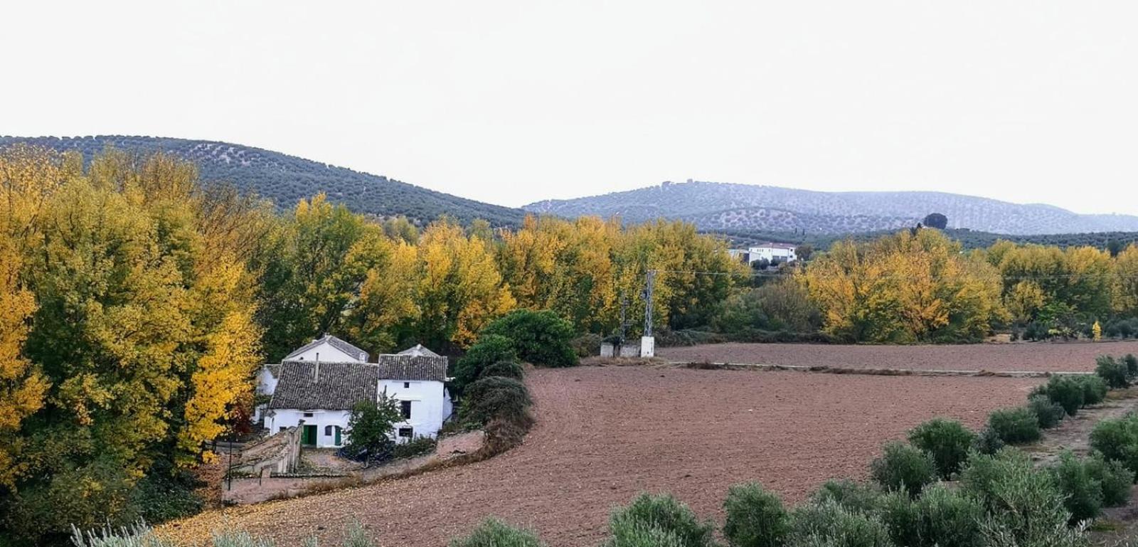 Casa Manuela