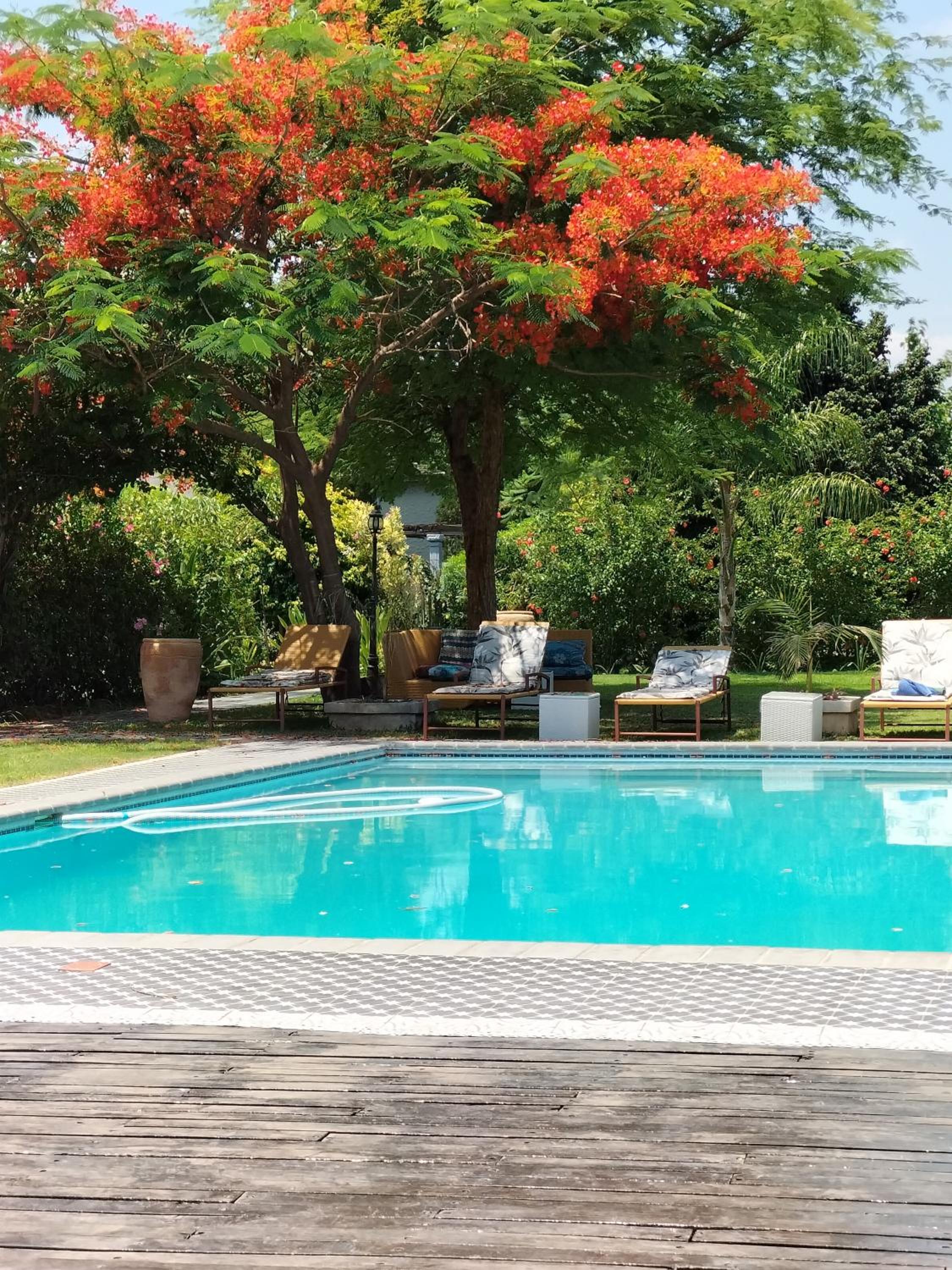 Sunbirds Lodge Chobe