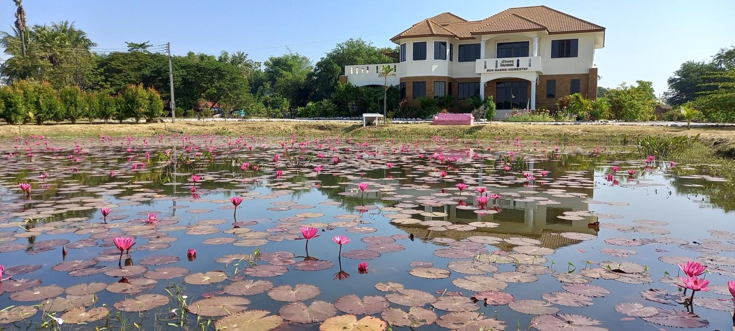 Bua Daeng Resort view 5