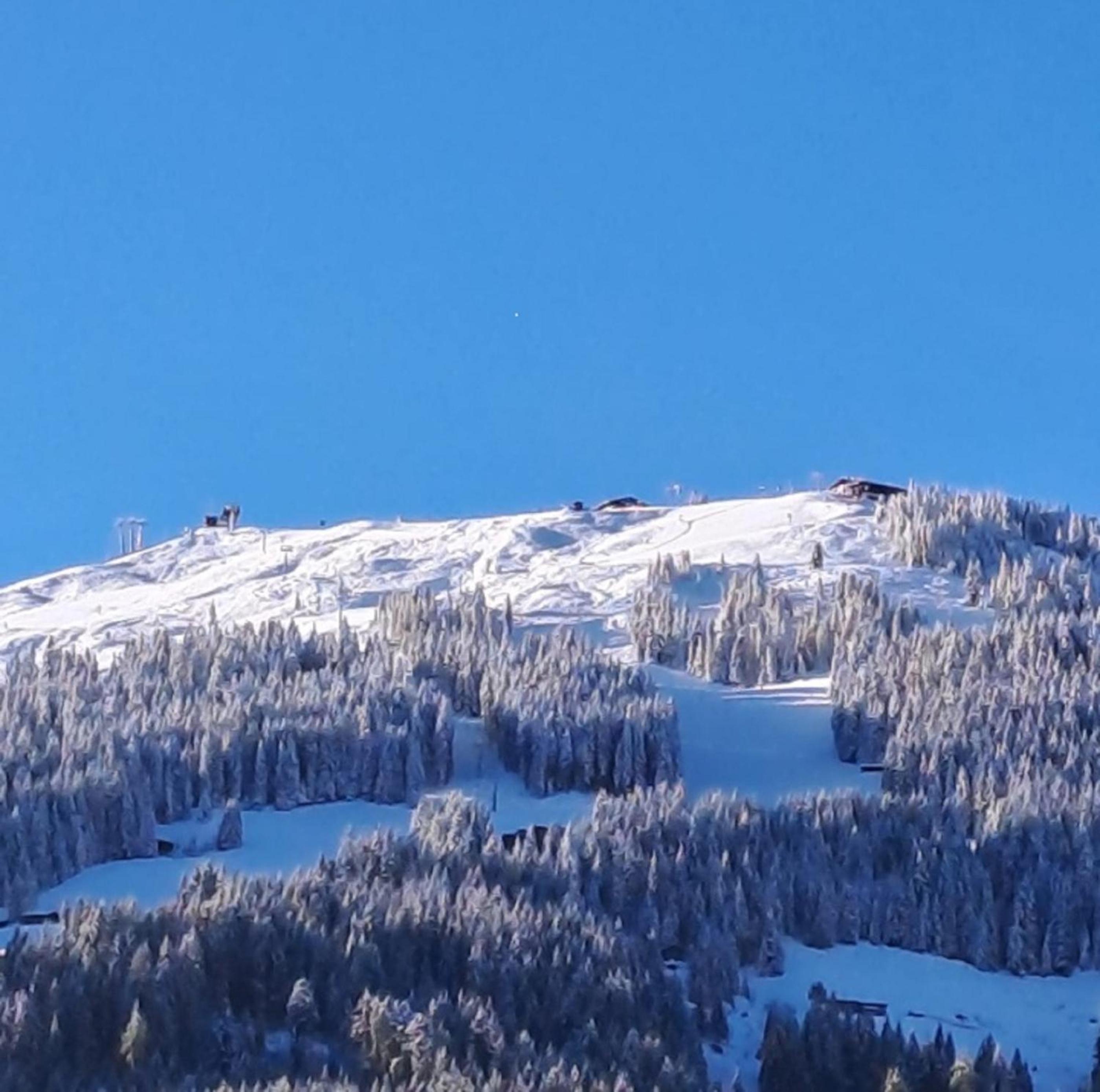Haus Raimund 