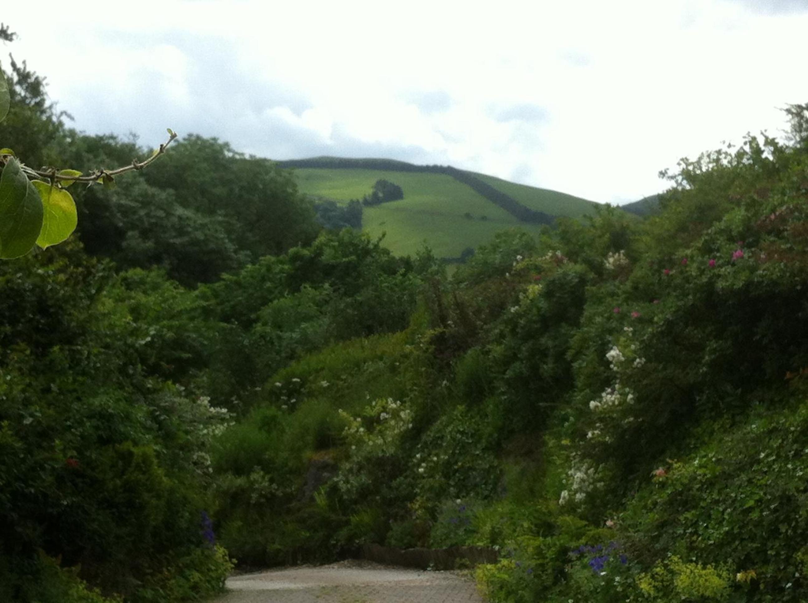 Hafan Deg view 4