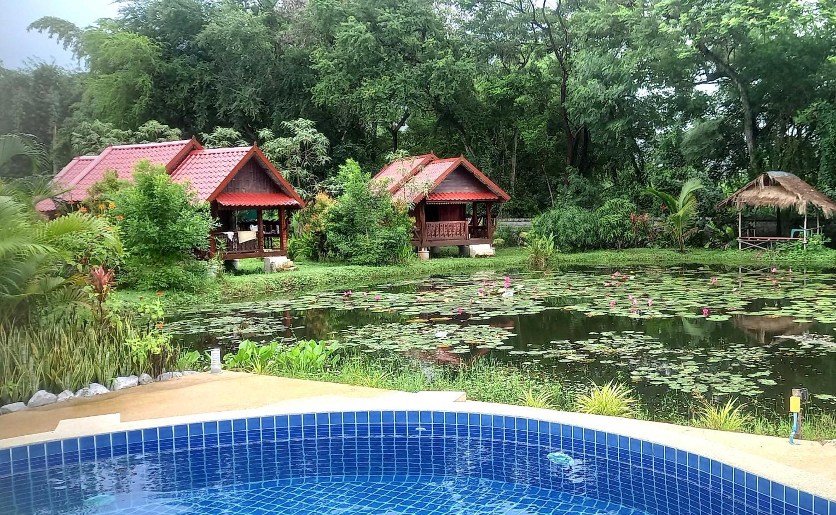 Photo 41