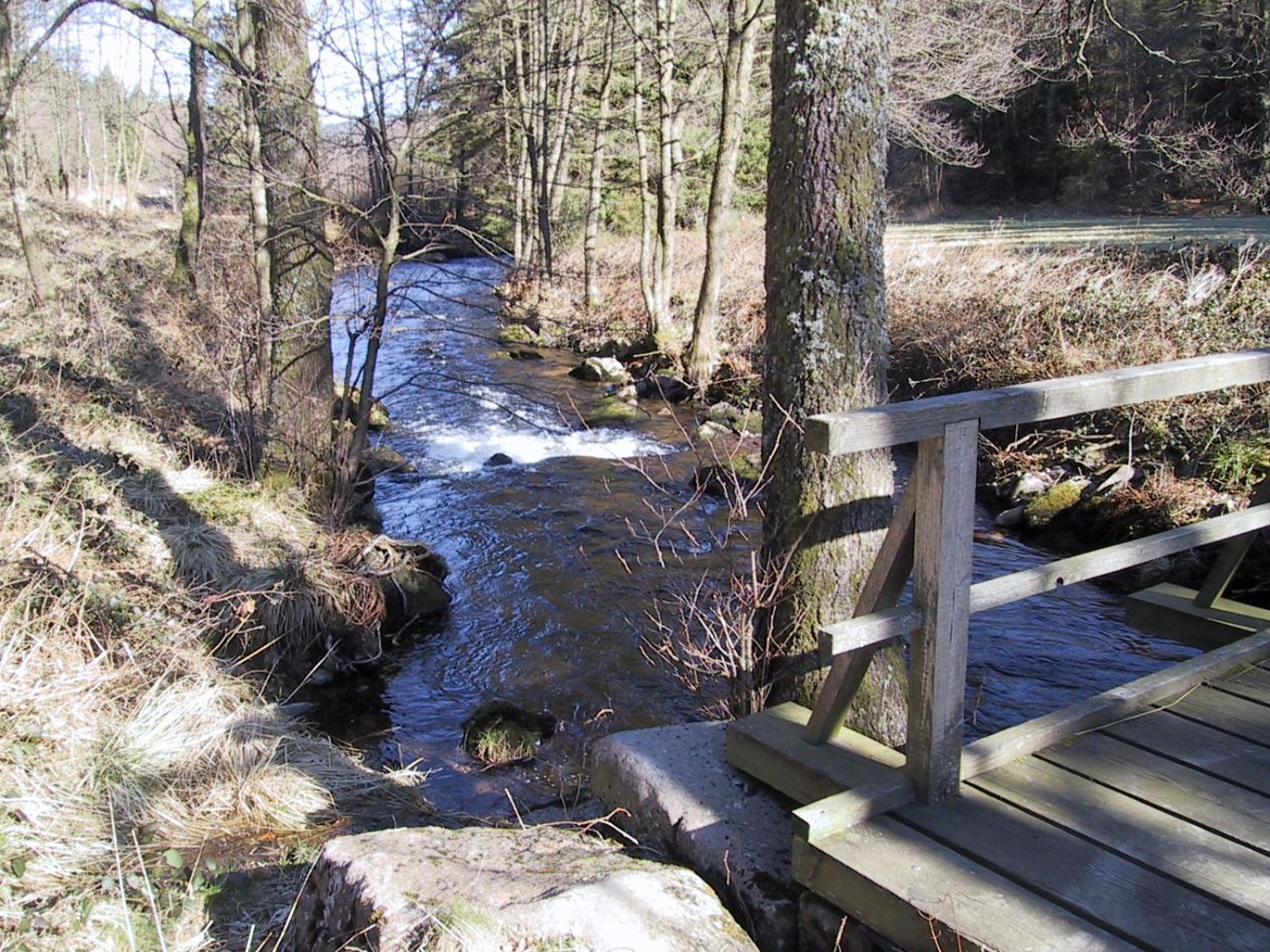 Ferienwohnung Kuckuck auf dem Sommerberg incl Schwarzwald Plus-Karte - 2 Zimmer 50qm