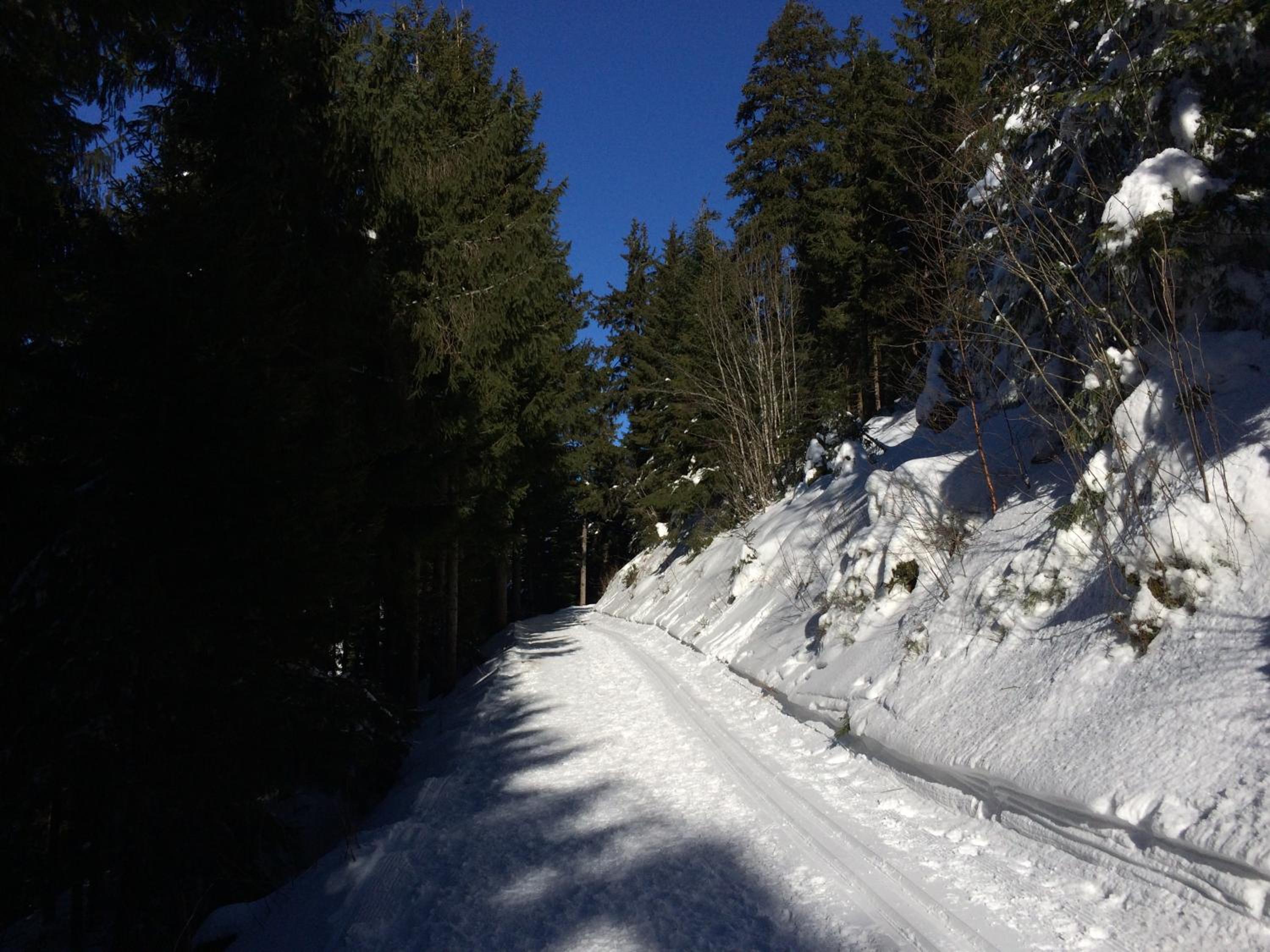 Ferienwohnung Kuckuck auf dem Sommerberg incl Schwarzwald Plus-Karte - 2 Zimmer 50qm