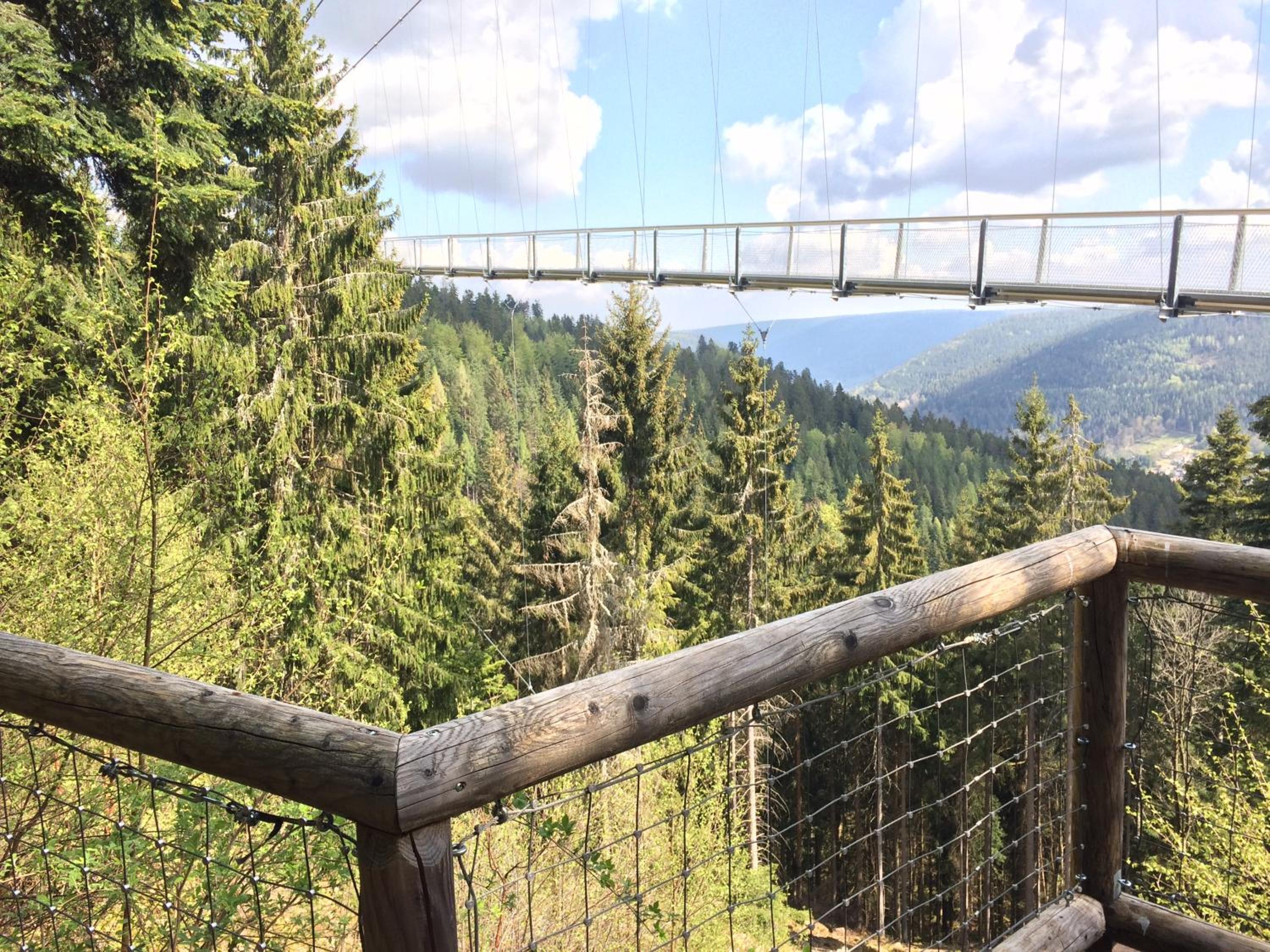 Ferienwohnung Kuckuck auf dem Sommerberg incl Schwarzwald Plus-Karte - 2 Zimmer 50qm
