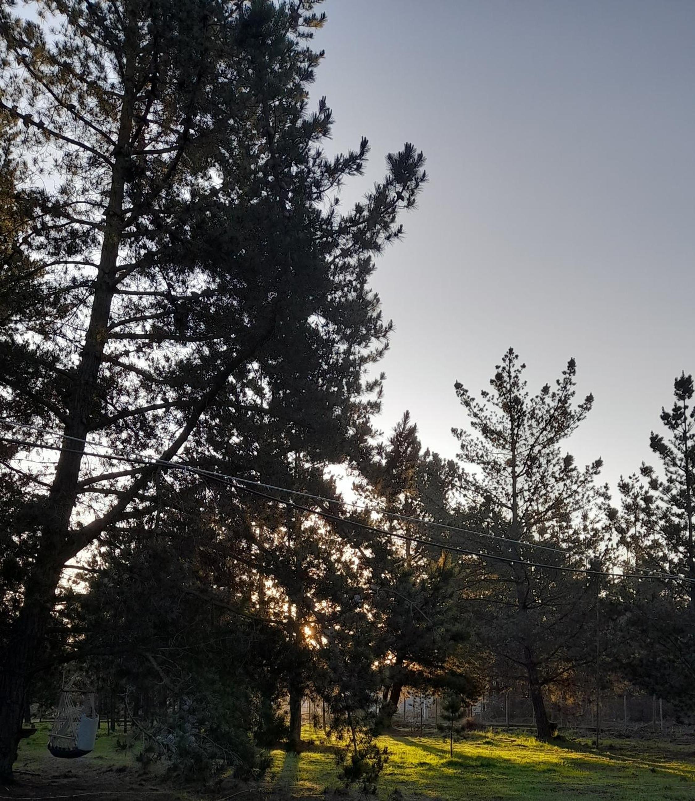 Riveras Rentals Bosque , cabañas & cabinas
