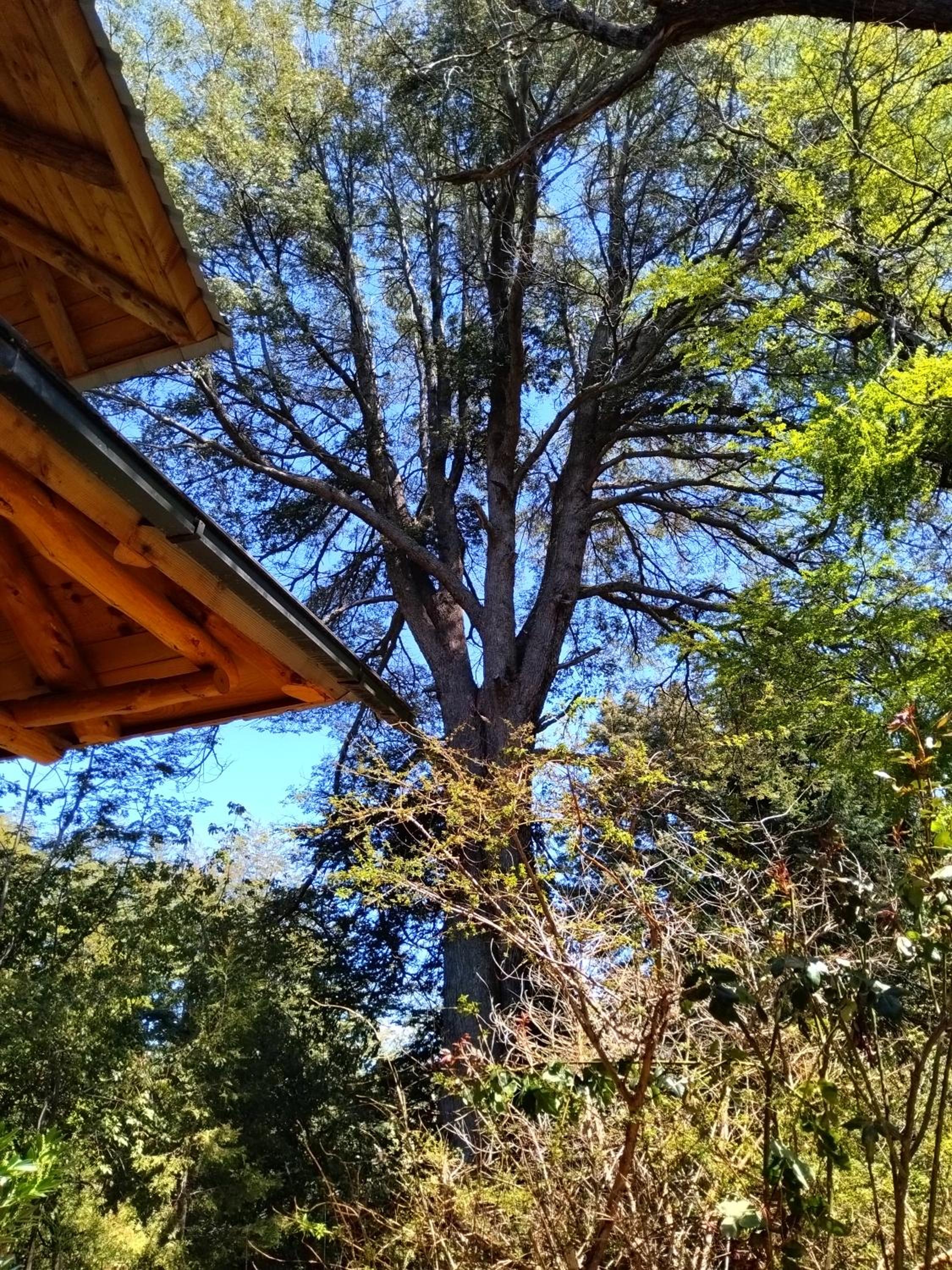Casa de La Montaña