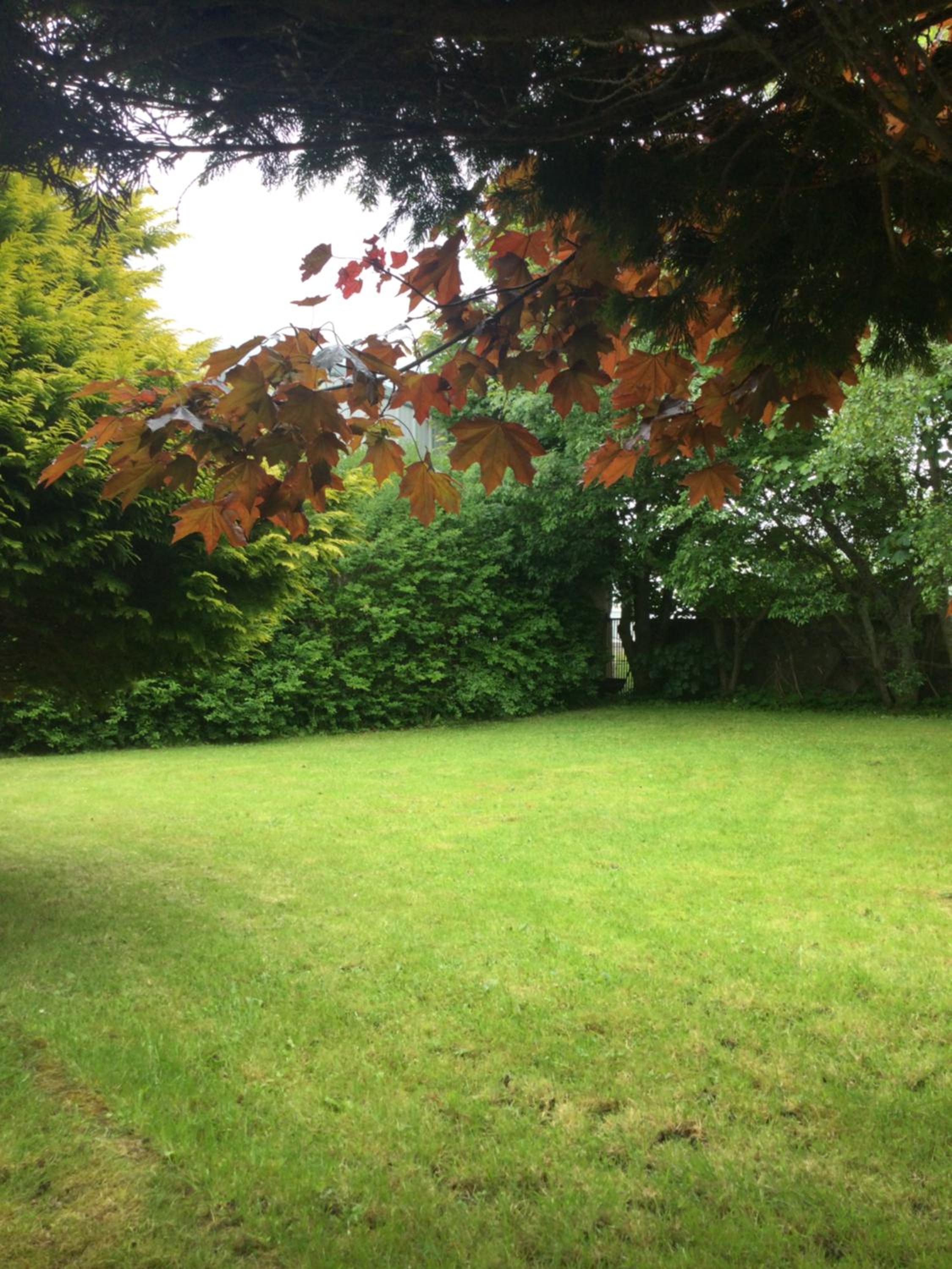 Photo 22
