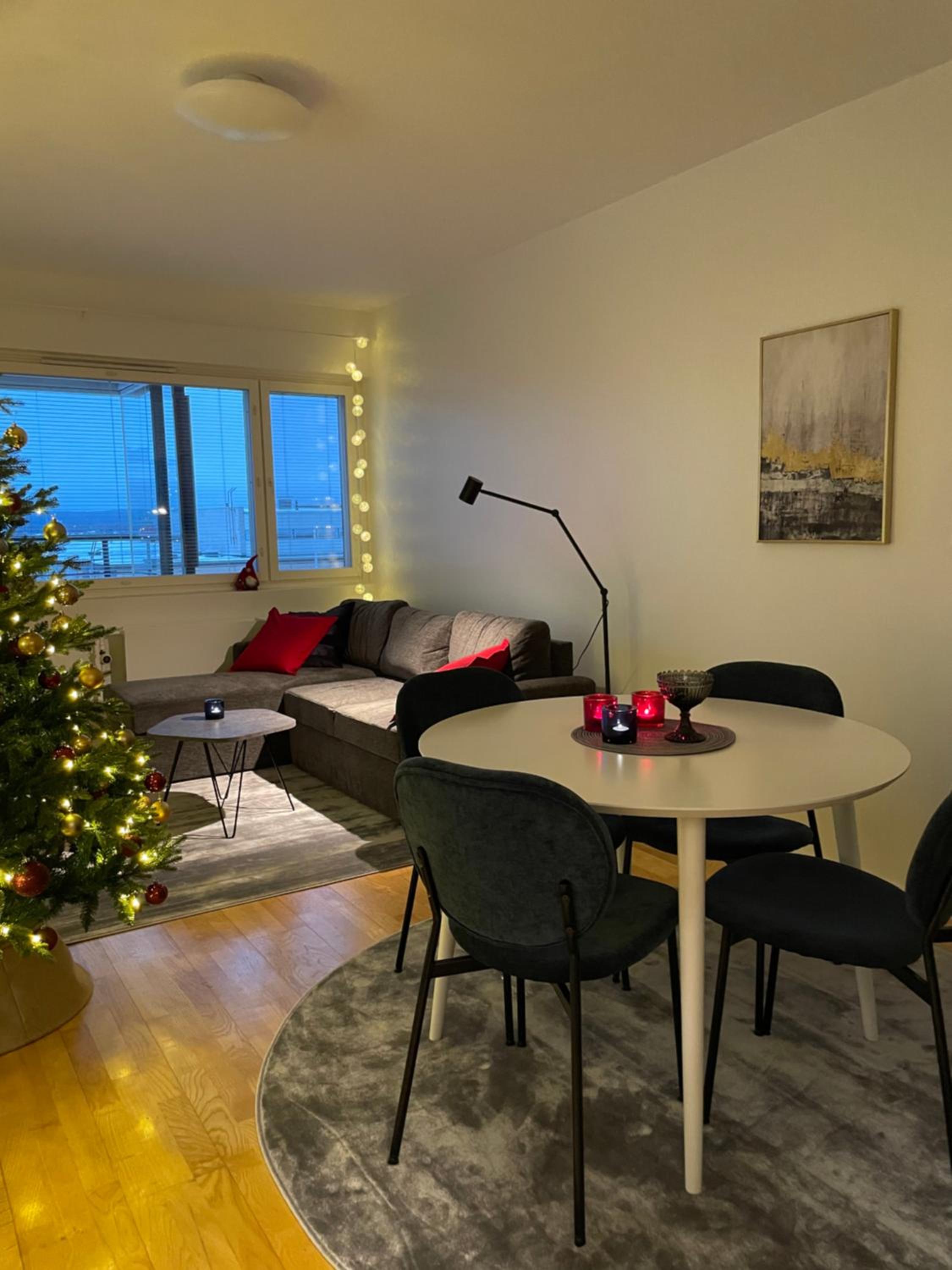 Arctic Circle City Apartment