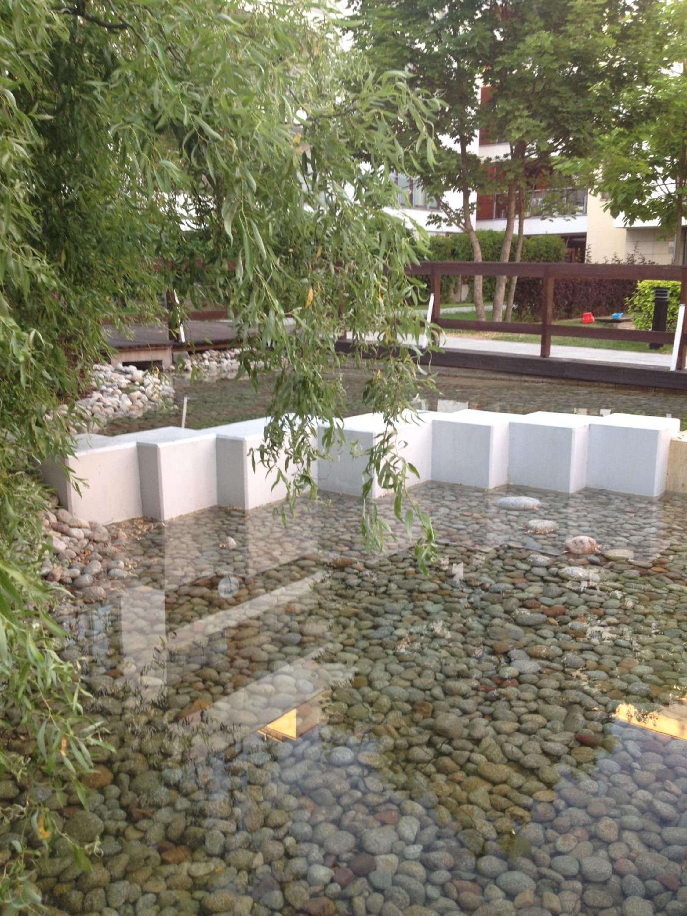 Photo 39