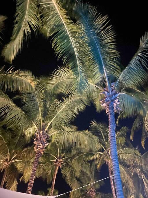 Vila dos Cocos - Praia de Moitas